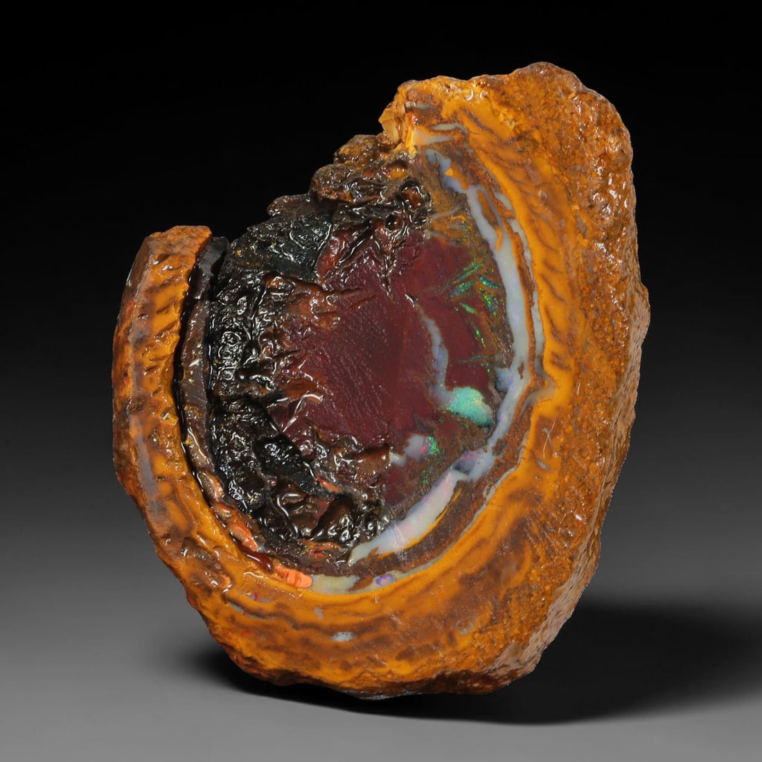 42.75ct Natural Australian Queensland Boulder Opal Sliced Slab Cutting Rough, 51YL: Natural sliced slab rough of Queensland boulder opal cutting grade, featuring rich color ironstone matrix with patterns. The face clearly reveals extensive opal veining and pocket formations running t