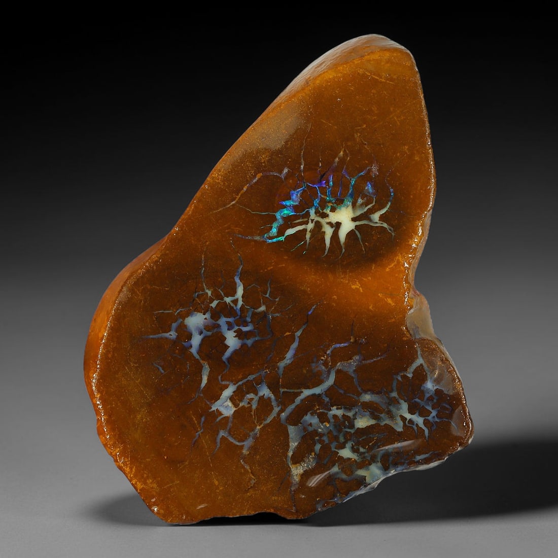 42.68ct Natural Australian Queensland Boulder Opal Sliced Slab Cutting Rough, 91YP: Natural sliced slab rough of Queensland boulder opal cutting grade, featuring rich color ironstone matrix with patterns. The face clearly reveals extensive opal veining and pocket formations running t