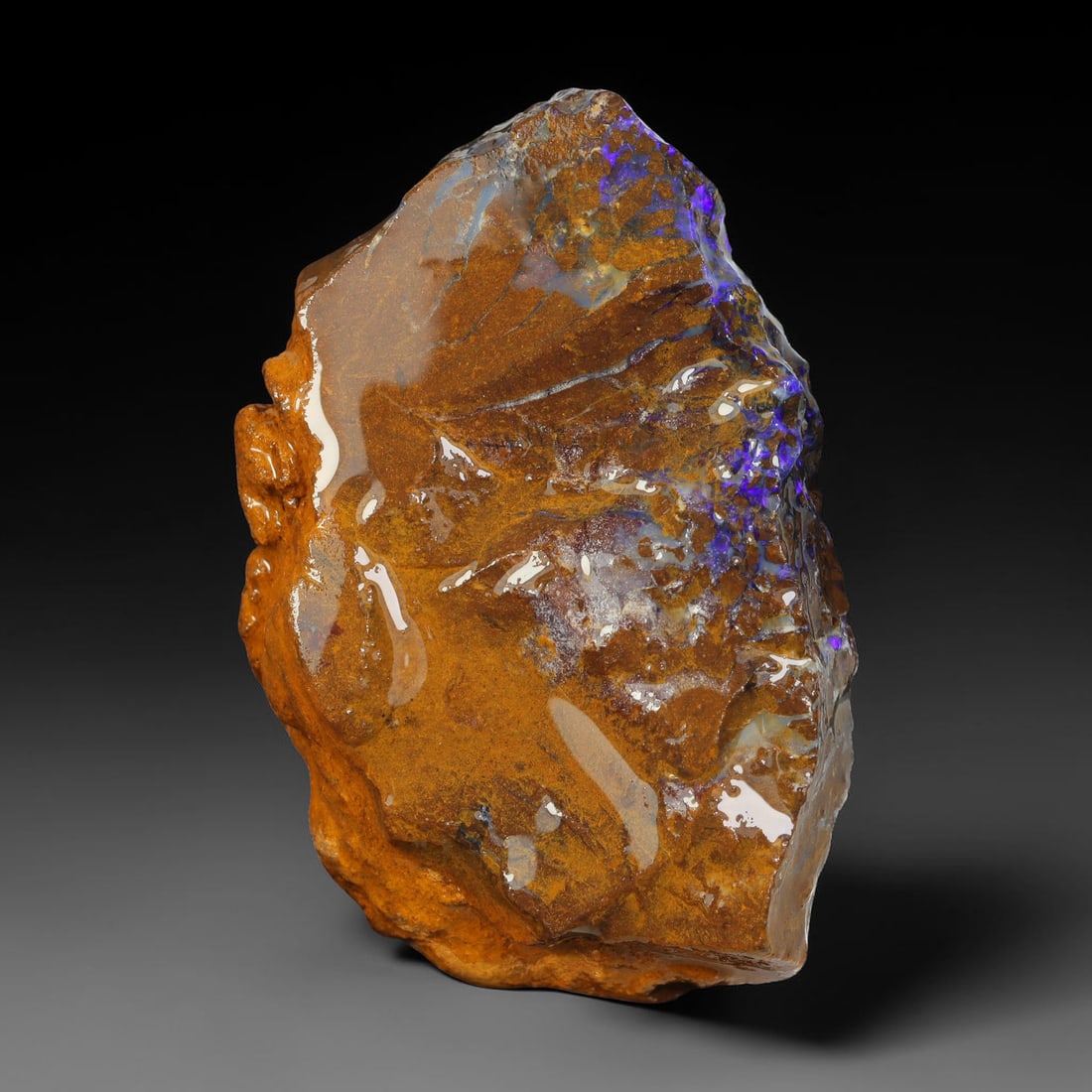 87.37ct Natural Australian Queensland Boulder Opal Sliced Slab Cutting Rough, 40YL: Natural sliced slab rough of Queensland boulder opal cutting grade, featuring rich color ironstone matrix with patterns. The face clearly reveals extensive opal veining and pocket formations running t