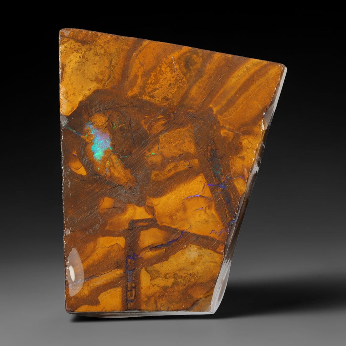118.85ct Natural Australian Queensland Boulder Opal Sliced Slab Cutting Rough, 43YL: Natural sliced slab rough of Queensland boulder opal cutting grade, featuring rich color ironstone matrix with patterns. The face clearly reveals extensive opal veining and pocket formations running t