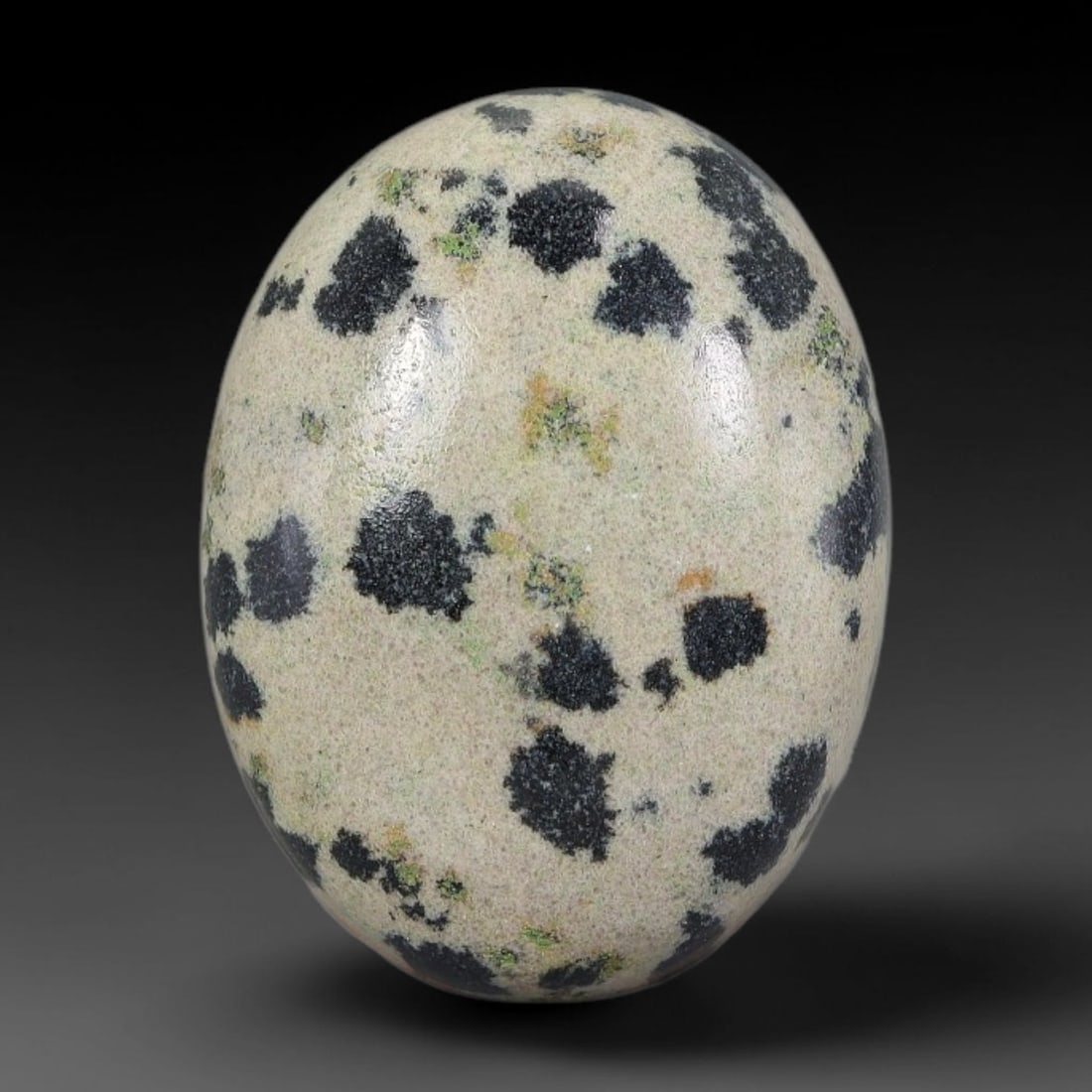 23.88 Carats Natural Dalmatian Jasper Oval Cabochon, 25XZ: I've got a lovely little gem here to show you, this charming Dalmatian jasper cabochon has such a fun, distinctive spotted look! Its base is a soft creamy off-white shade, dotted all over with bold in