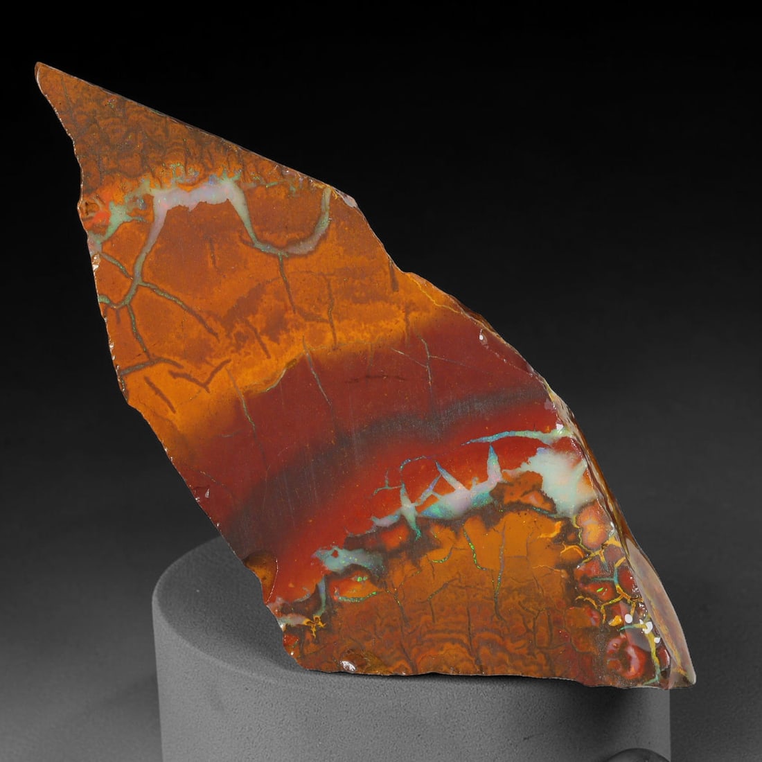 41.98ct Natural Australian Queensland Boulder Opal Sliced Slab Cutting Rough, 12YL: Natural sliced slab rough of Queensland boulder opal cutting grade, featuring rich color ironstone matrix with patterns. The face clearly reveals extensive opal veining and pocket formations running t