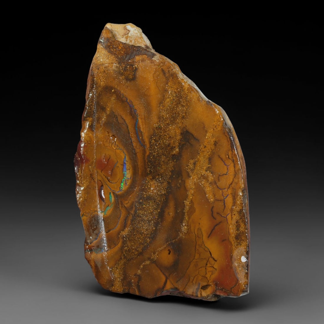 39.43ct Natural Australian Queensland Boulder Opal Sliced Slab Cutting Rough, 61YP: Natural sliced slab rough of Queensland boulder opal cutting grade, featuring rich color ironstone matrix with patterns. The face clearly reveals extensive opal veining and pocket formations running t