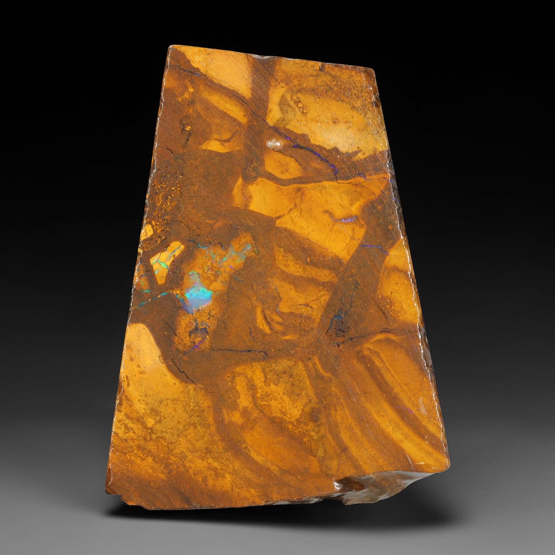 66.86ct Natural Australian Queensland Boulder Opal Sliced Slab Cutting Rough, 14YL: Natural sliced slab rough of Queensland boulder opal cutting grade, featuring rich color ironstone matrix with patterns. The face clearly reveals extensive opal veining and pocket formations running t
