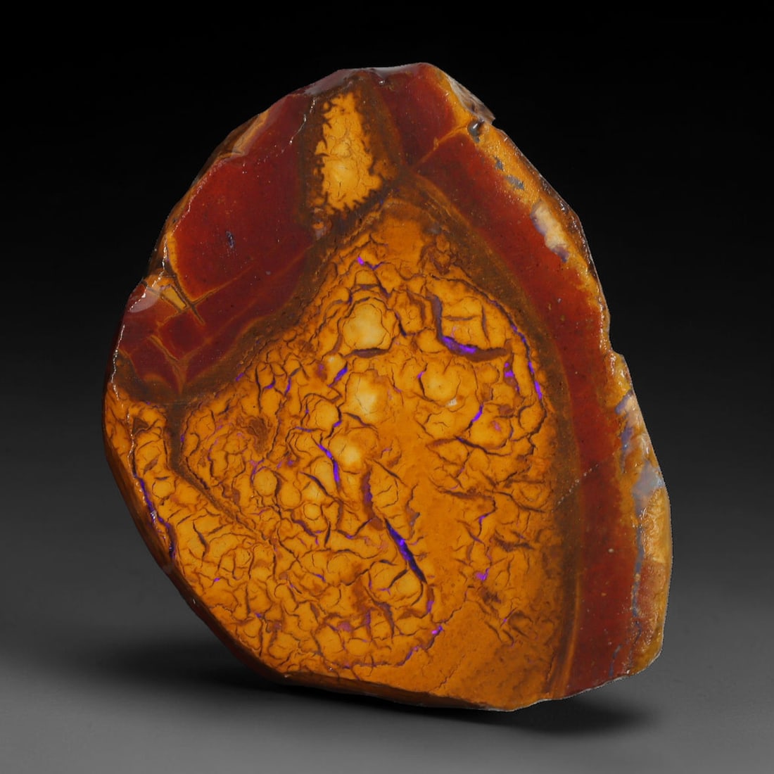 46.70ct Natural Australian Queensland Boulder Opal Sliced Slab Cutting Rough, 37YL (1 of 2)