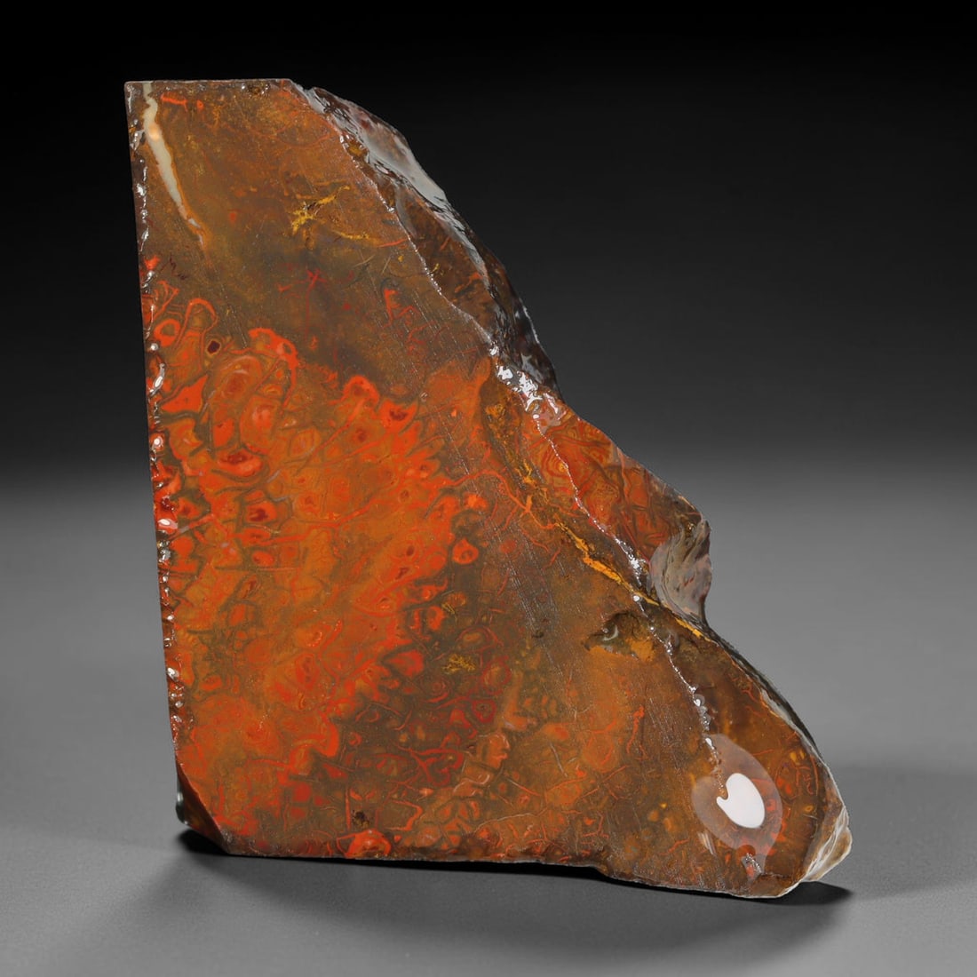84.36ct Natural Australian Queensland Boulder Opal Sliced Slab Cutting Rough, 9YL: Natural sliced slab rough of Queensland boulder opal cutting grade, featuring rich color ironstone matrix with patterns. The face clearly reveals extensive opal veining and pocket formations running t