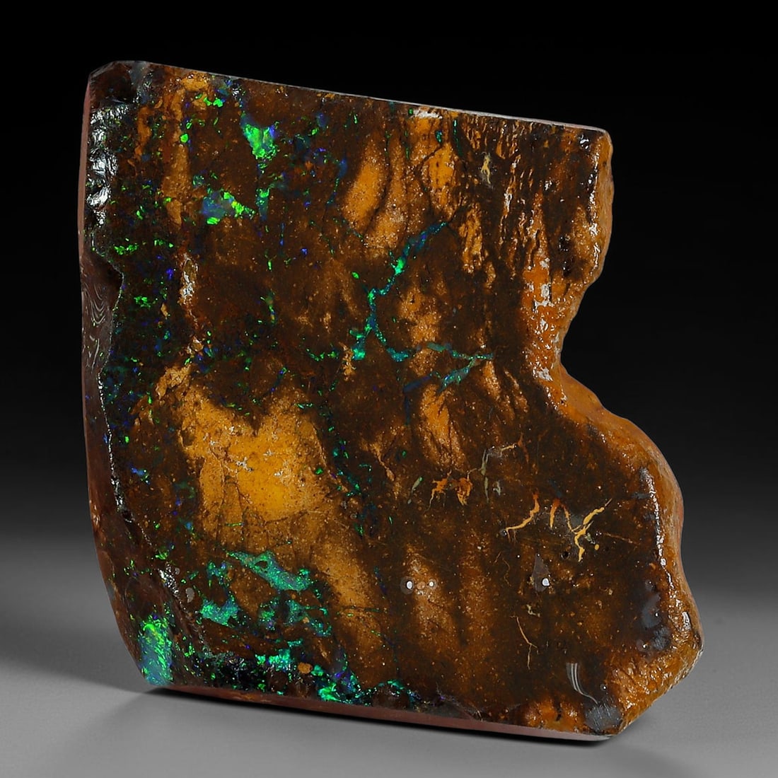 24.78ct Natural Australian Queensland Boulder Opal Sliced Slab Cutting Rough, 21YP: Natural sliced slab rough of Queensland boulder opal cutting grade, featuring rich color ironstone matrix with patterns. The face clearly reveals extensive opal veining and pocket formations running t