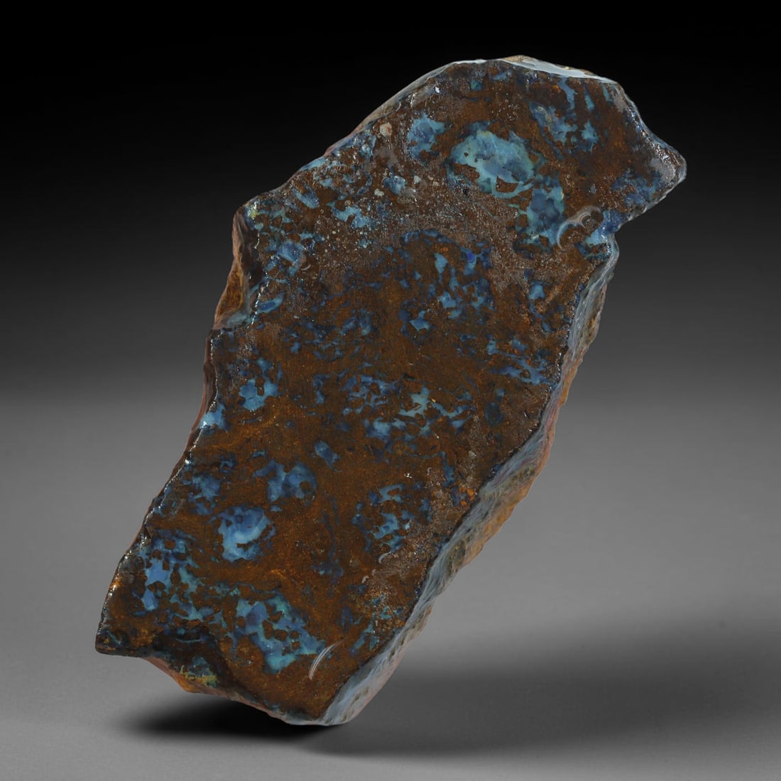 62.88ct Natural Australian Queensland Boulder Opal Sliced Slab Cutting Rough, 67YP: Natural sliced slab rough of Queensland boulder opal cutting grade, featuring rich color ironstone matrix with patterns. The face clearly reveals extensive opal veining and pocket formations running t