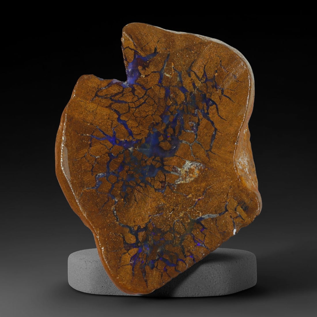 59.33ct Natural Australian Queensland Boulder Opal Sliced Slab Cutting Rough, 69YP: Natural sliced slab rough of Queensland boulder opal cutting grade, featuring rich color ironstone matrix with patterns. The face clearly reveals extensive opal veining and pocket formations running t