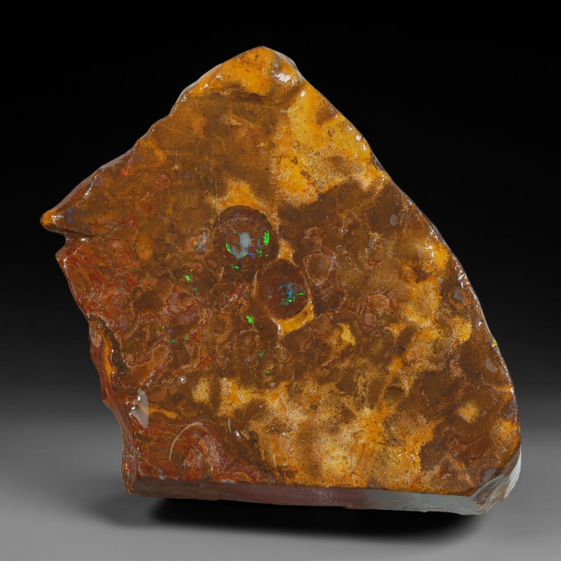 67.92ct Natural Australian Queensland Boulder Opal Sliced Slab Cutting Rough, 71YP: Natural sliced slab rough of Queensland boulder opal cutting grade, featuring rich color ironstone matrix with patterns. The face clearly reveals extensive opal veining and pocket formations running t