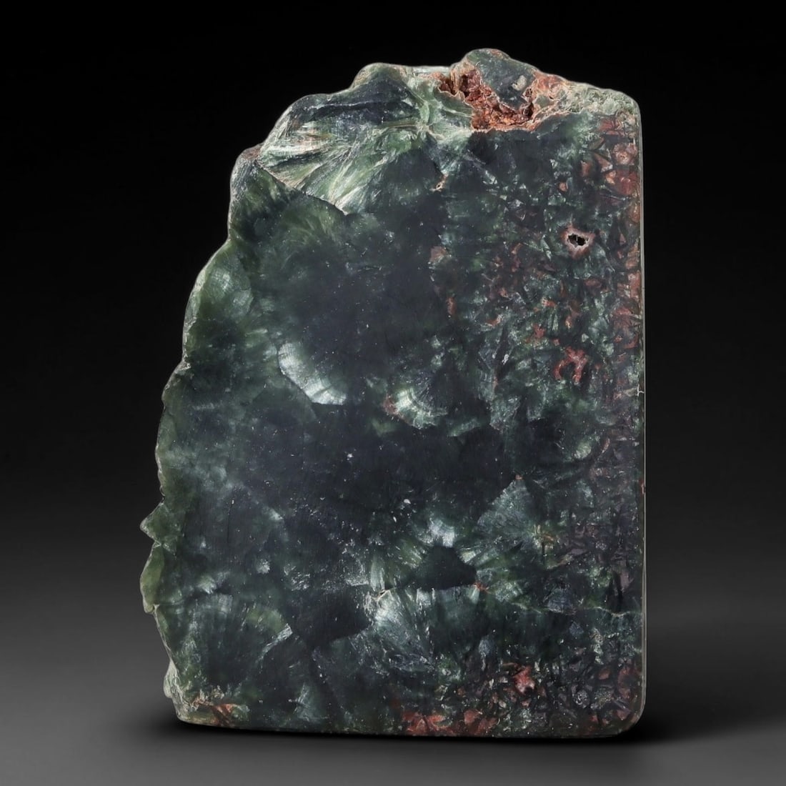100ct Natural Siberian Seraphinite Polished Rough Slab, 4WV: This polished mineral slab is natural seraphinite originating from Siberian deposits, displaying characteristic radiating crystalline fibrous formations with layered deep forest and silvery green band