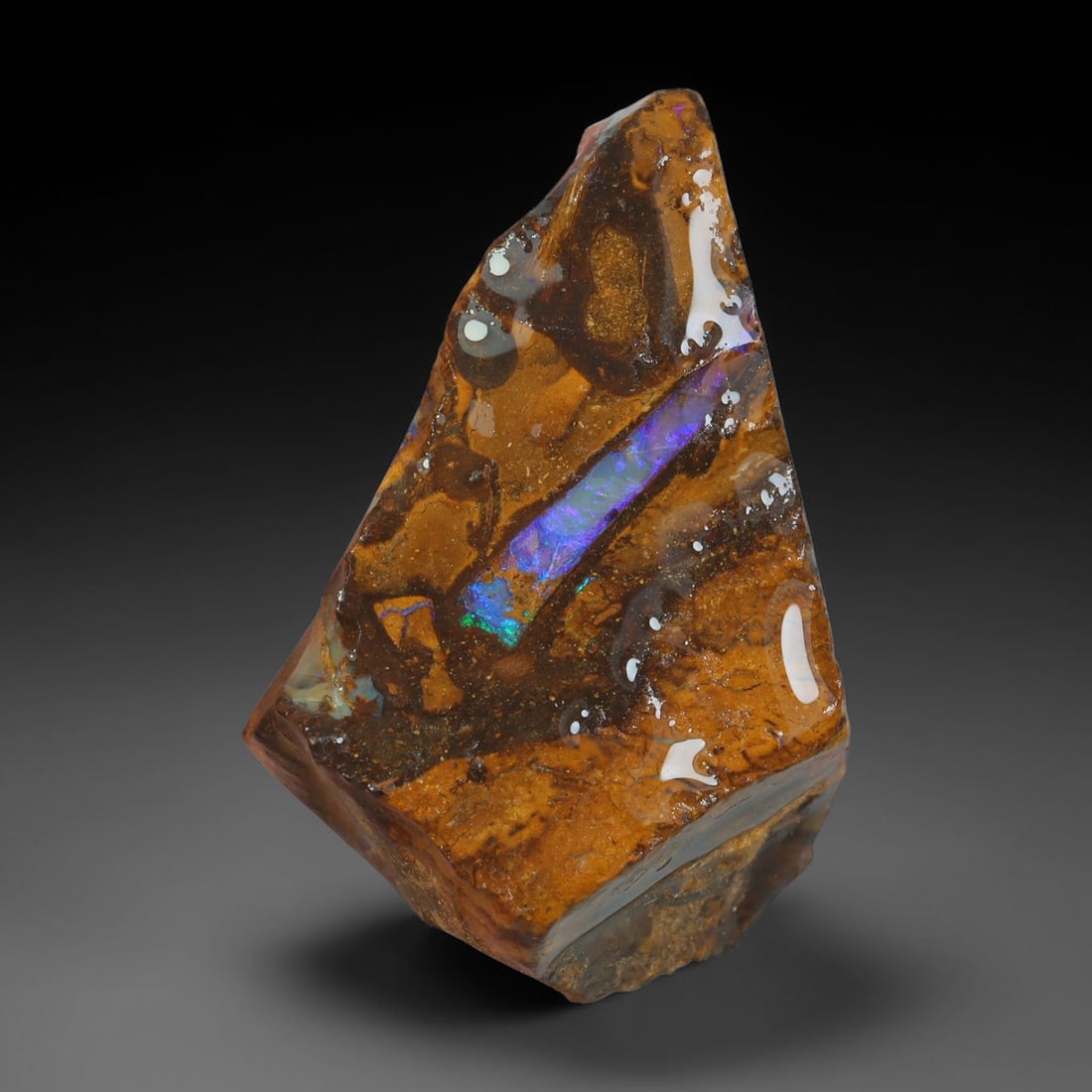 43.72ct Natural Australian Queensland Boulder Opal Sliced Slab Cutting Rough, 84YL: Natural sliced slab rough of Queensland boulder opal cutting grade, featuring rich color ironstone matrix with patterns. The face clearly reveals extensive opal veining and pocket formations running t