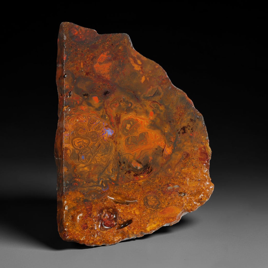 83.78ct Natural Australian Queensland Boulder Opal Sliced Slab Cutting Rough, 44YL: Natural sliced slab rough of Queensland boulder opal cutting grade, featuring rich color ironstone matrix with patterns. The face clearly reveals extensive opal veining and pocket formations running t