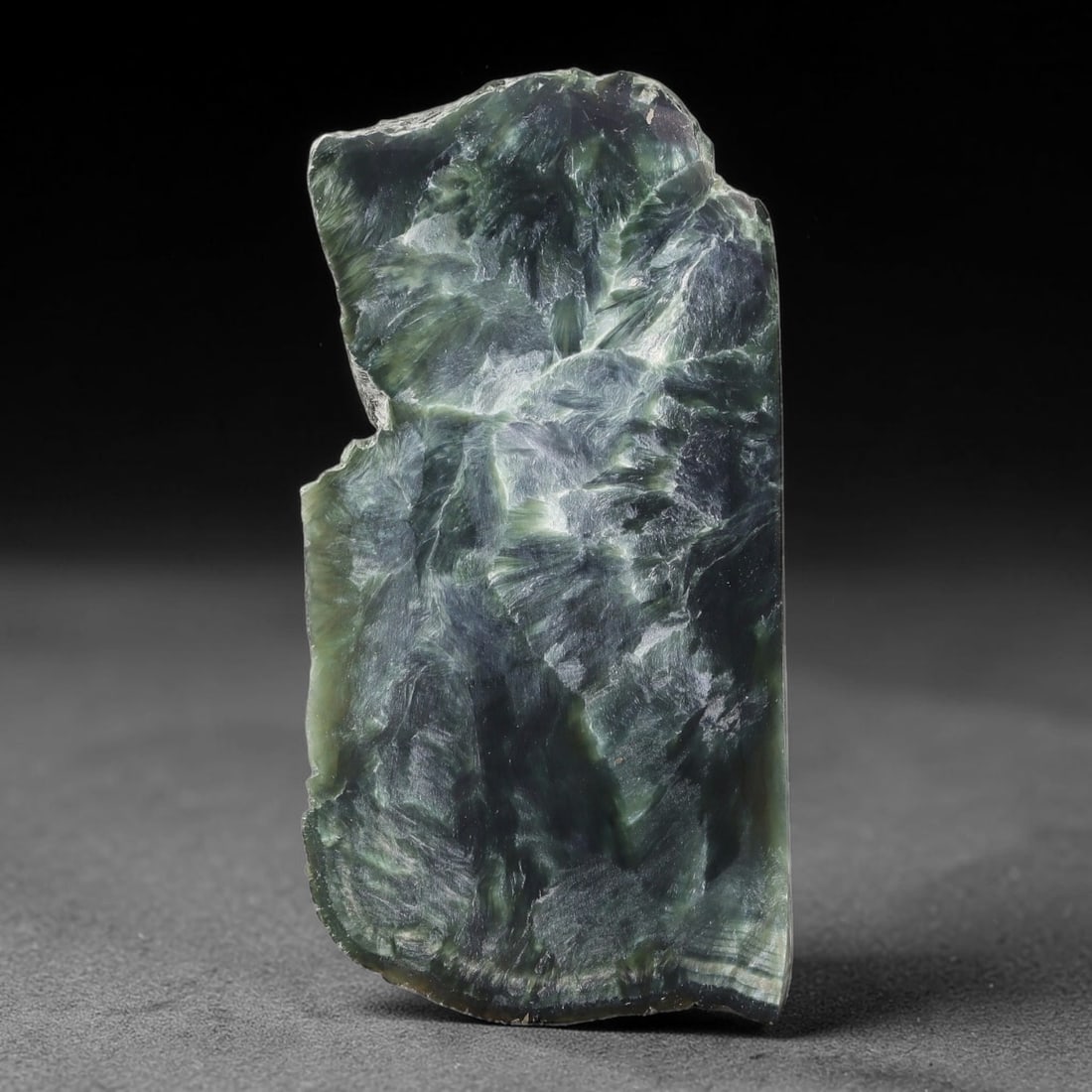 88ct Natural Siberian Seraphinite Polished Rough Slab, 3WV: This polished mineral slab is natural seraphinite originating from Siberian deposits, displaying characteristic radiating crystalline fibrous formations with layered deep forest and silvery green band