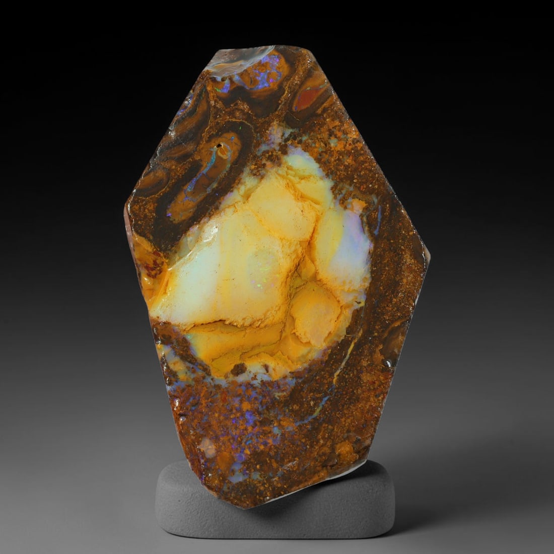 61.50ct Natural Australian Queensland Boulder Opal Sliced Slab Cutting Rough, 100YL: Natural sliced slab rough of Queensland boulder opal cutting grade, featuring rich color ironstone matrix with patterns. The face clearly reveals extensive opal veining and pocket formations running t