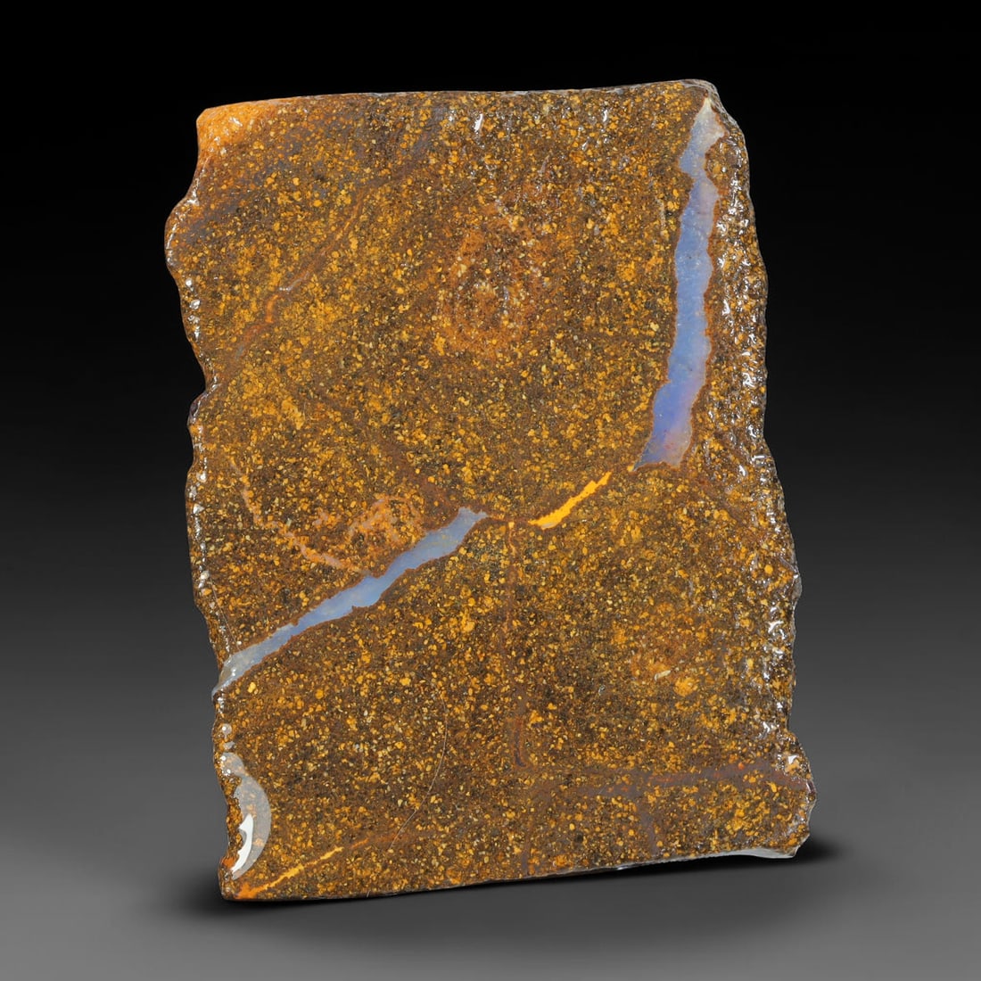 44.06ct Natural Australian Queensland Boulder Opal Sliced Slab Cutting Rough, 7YL: Natural sliced slab rough of Queensland boulder opal cutting grade, featuring rich color ironstone matrix with patterns. The face clearly reveals extensive opal veining and pocket formations running t