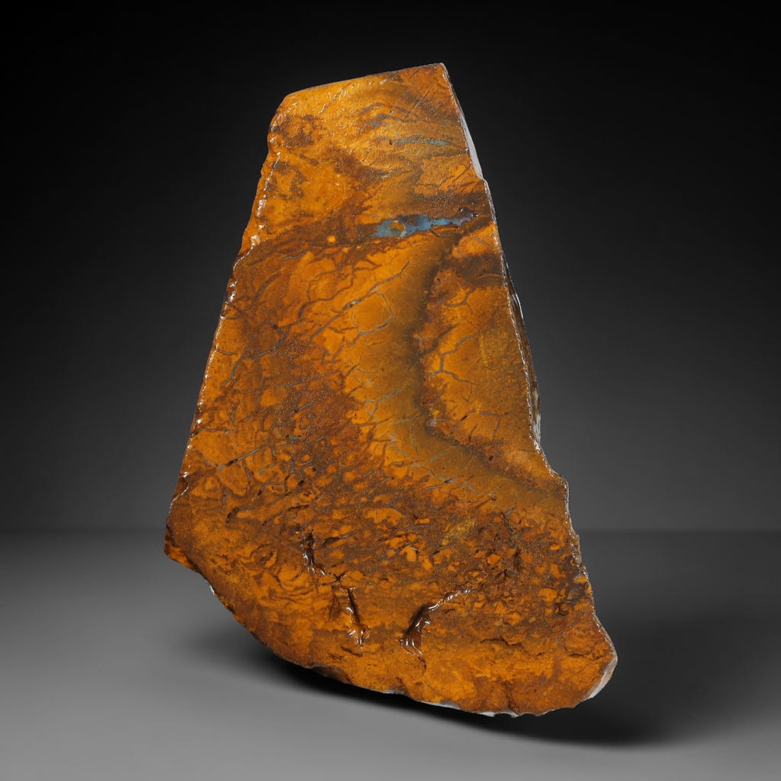 60.10ct Natural Australian Queensland Boulder Opal Sliced Slab Cutting Rough, 46YL: Natural sliced slab rough of Queensland boulder opal cutting grade, featuring rich color ironstone matrix with patterns. The face clearly reveals extensive opal veining and pocket formations running t