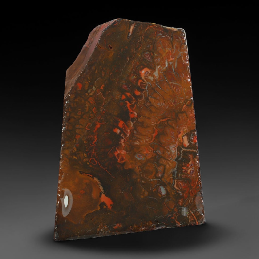 54.02ct Natural Australian Queensland Boulder Opal Sliced Slab Cutting Rough, 59YP: Natural sliced slab rough of Queensland boulder opal cutting grade, featuring rich color ironstone matrix with patterns. The face clearly reveals extensive opal veining and pocket formations running t