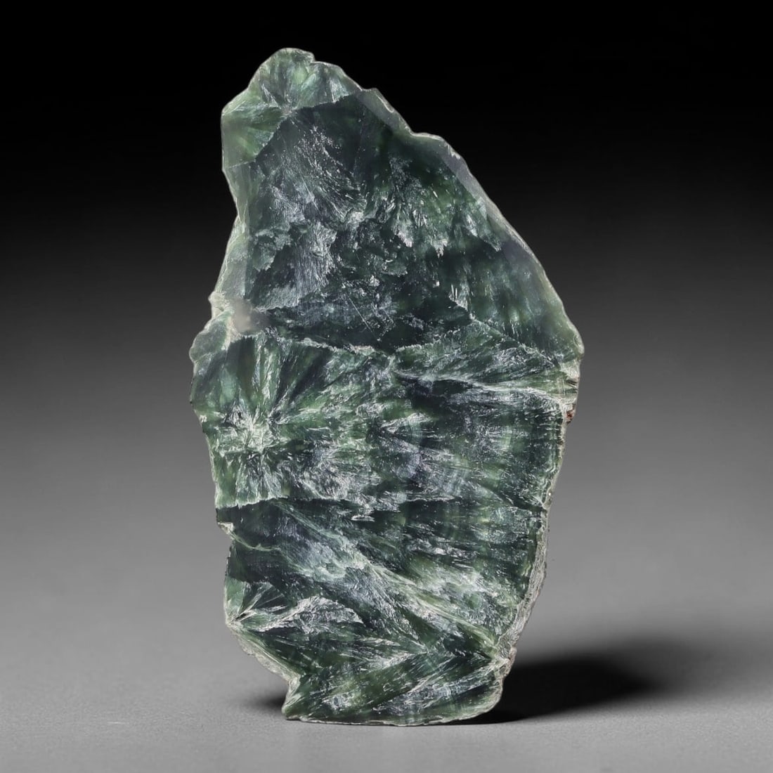 80ct Natural Siberian Seraphinite Polished Rough Slab, 5WV: This polished mineral slab is natural seraphinite originating from Siberian deposits, displaying characteristic radiating crystalline fibrous formations with layered deep forest and silvery green band