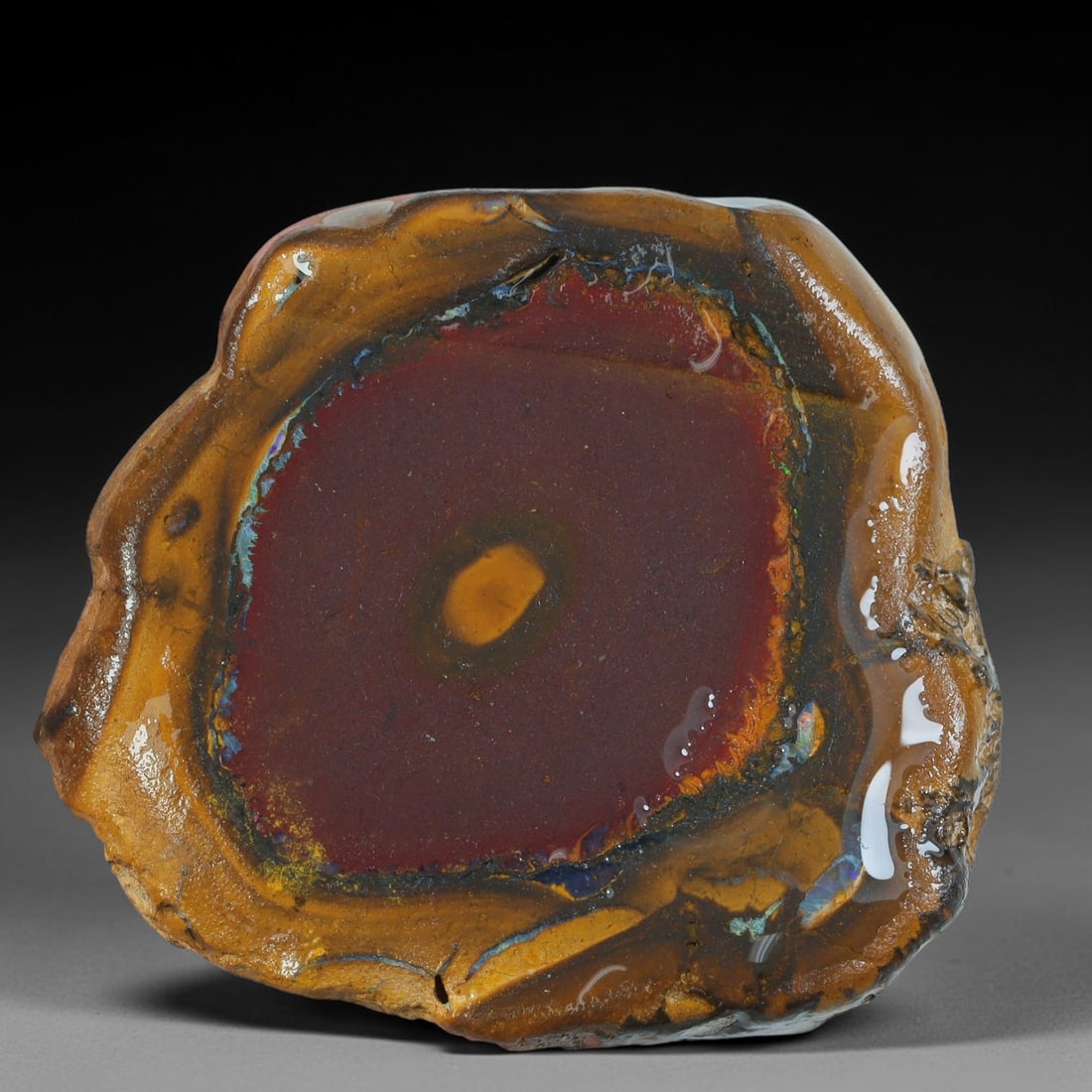 73.04ct Natural Australian Queensland Boulder Opal Sliced Slab Cutting Rough, 78YL (1 of 2)