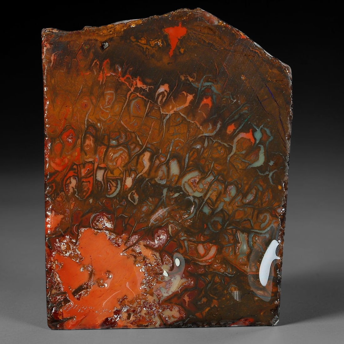 57.80ct Natural Australian Queensland Boulder Opal Sliced Slab Cutting Rough, 47YP: Natural sliced slab rough of Queensland boulder opal cutting grade, featuring rich color ironstone matrix with patterns. The face clearly reveals extensive opal veining and pocket formations running t