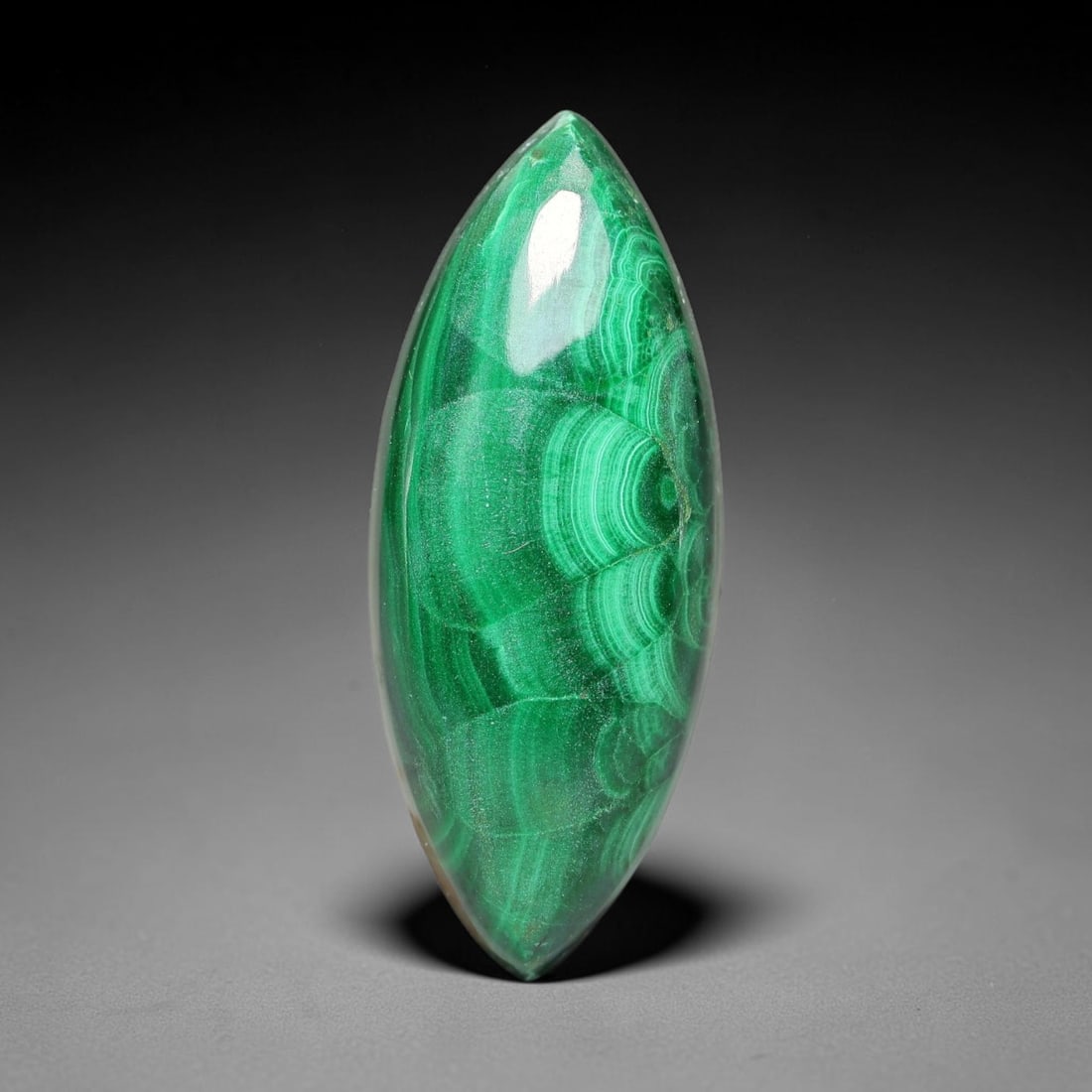 27.30ct Natural Malachite Marquise Cabochon Loose Gemstone, 78WW: Hand polished natural malachite cabochon displaying rich saturated green tones paired with distinctive natural banded mineral formations across the smooth surface. The stone features a lustrous high-g