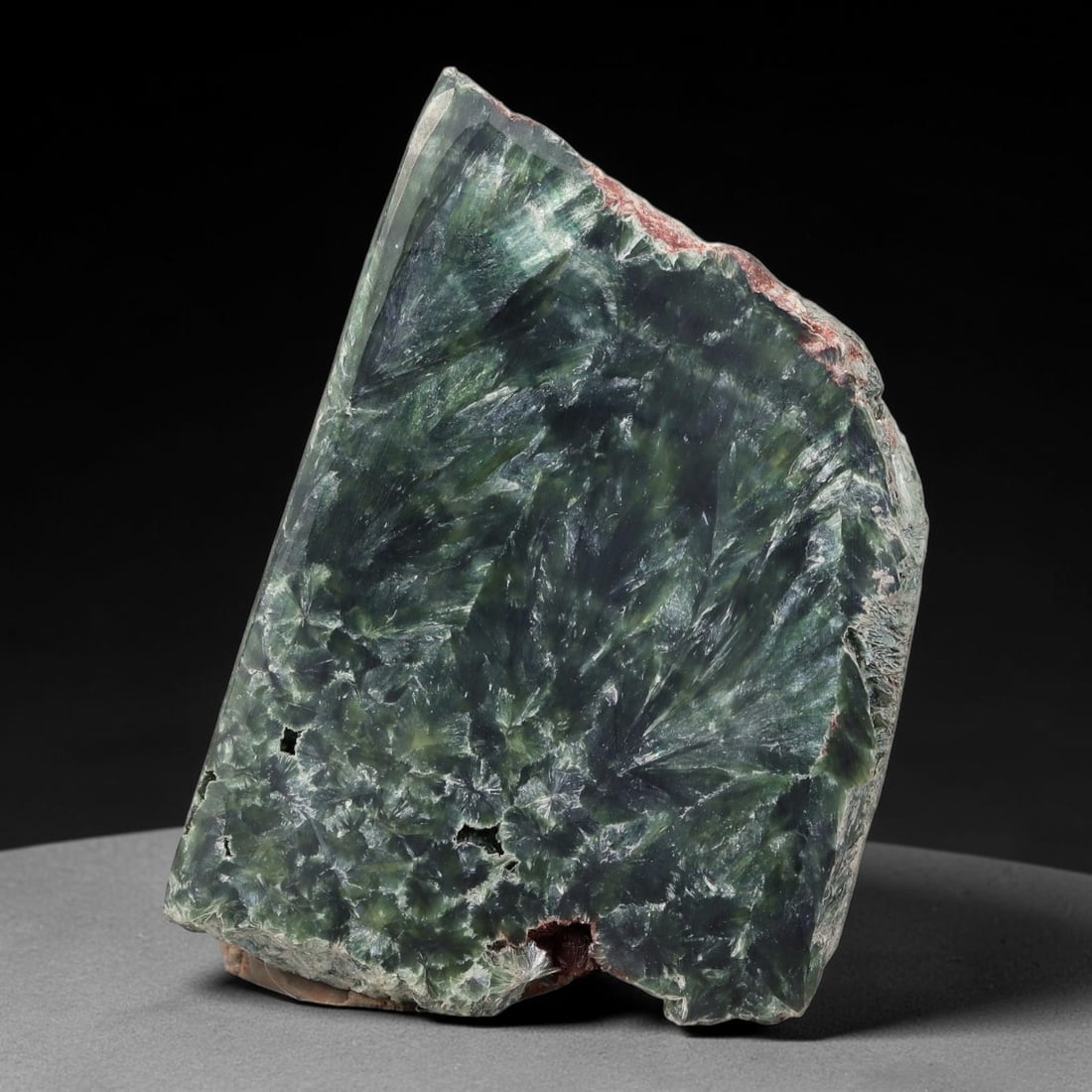 102ct Natural Siberian Seraphinite Polished Rough Slab, 31WV: This polished mineral slab is natural seraphinite originating from Siberian deposits, displaying characteristic radiating crystalline fibrous formations with layered deep forest and silvery green band