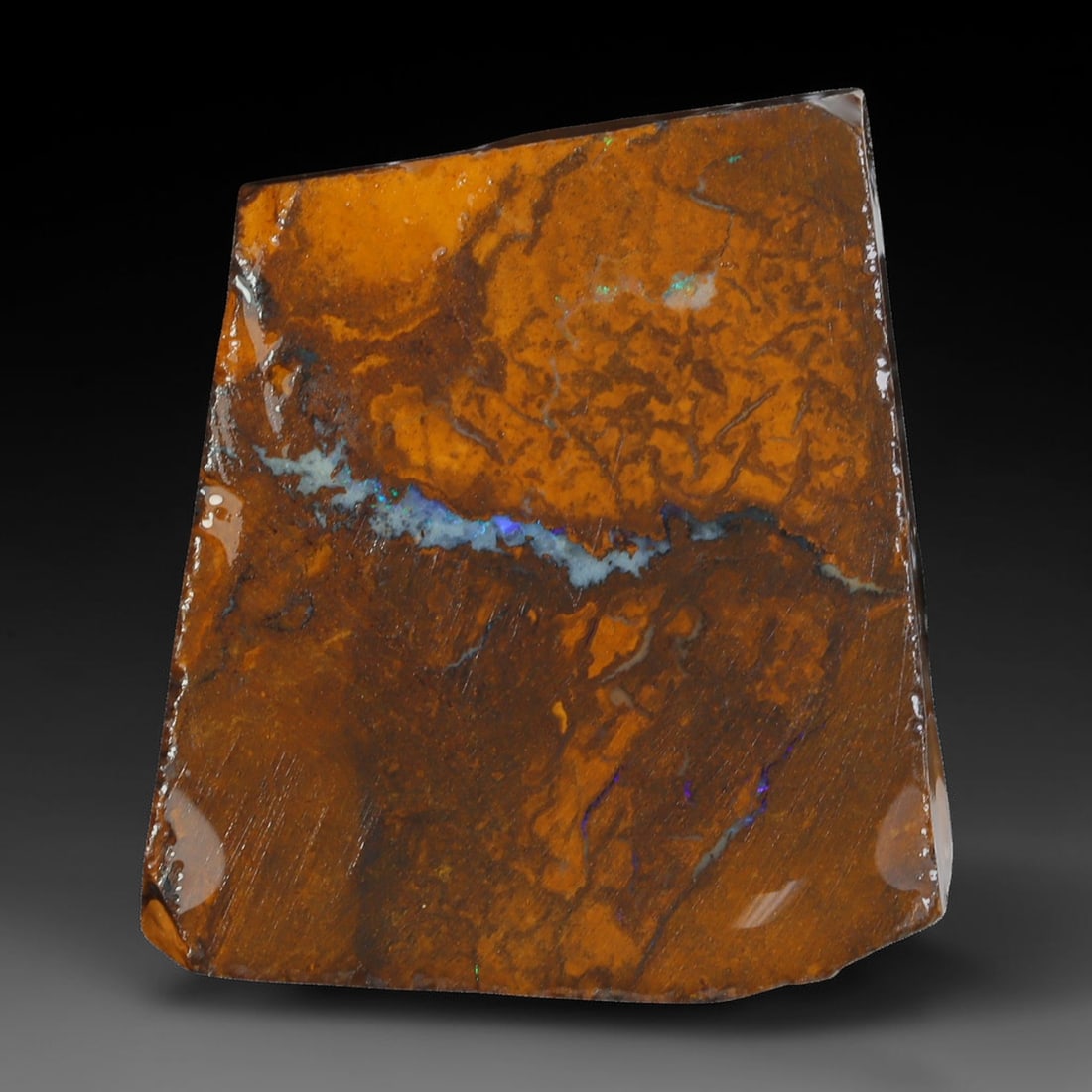 45.11ct Natural Australian Queensland Boulder Opal Sliced Slab Cutting Rough, 63YL: Natural sliced slab rough of Queensland boulder opal cutting grade, featuring rich color ironstone matrix with patterns. The face clearly reveals extensive opal veining and pocket formations running t