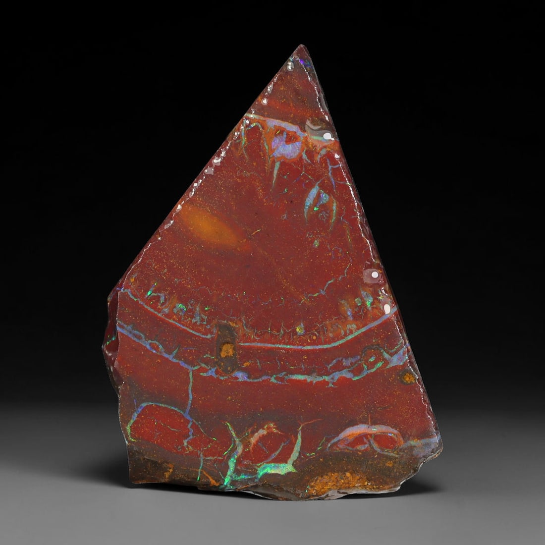 26.60ct Natural Australian Queensland Boulder Opal Sliced Slab Cutting Rough, 20YL: Natural sliced slab rough of Queensland boulder opal cutting grade, featuring rich color ironstone matrix with patterns. The face clearly reveals extensive opal veining and pocket formations running t