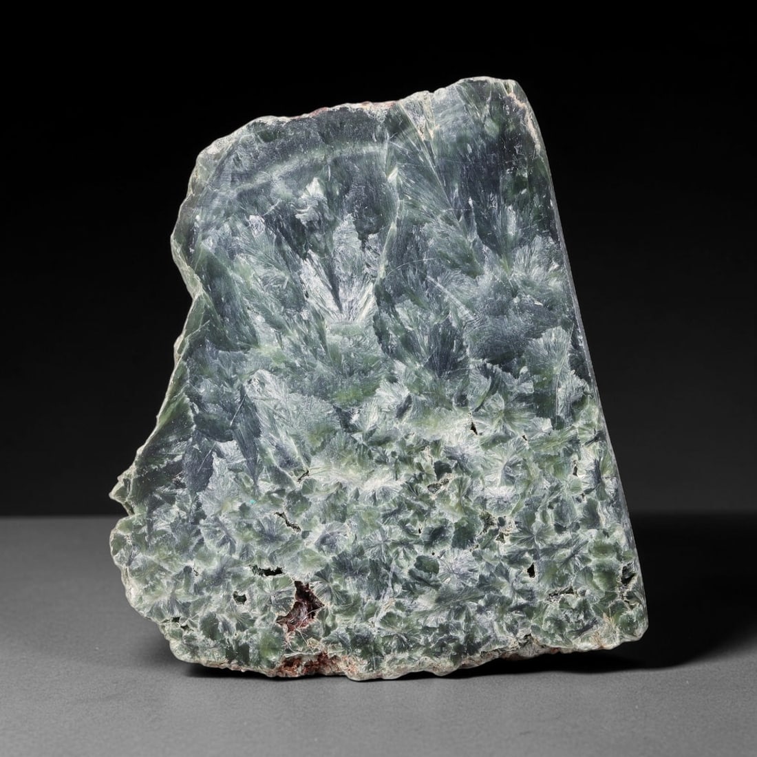135ct Natural Siberian Seraphinite Polished Rough Slab, 58WV: This polished mineral slab is natural seraphinite originating from Siberian deposits, displaying characteristic radiating crystalline fibrous formations with layered deep forest and silvery green band