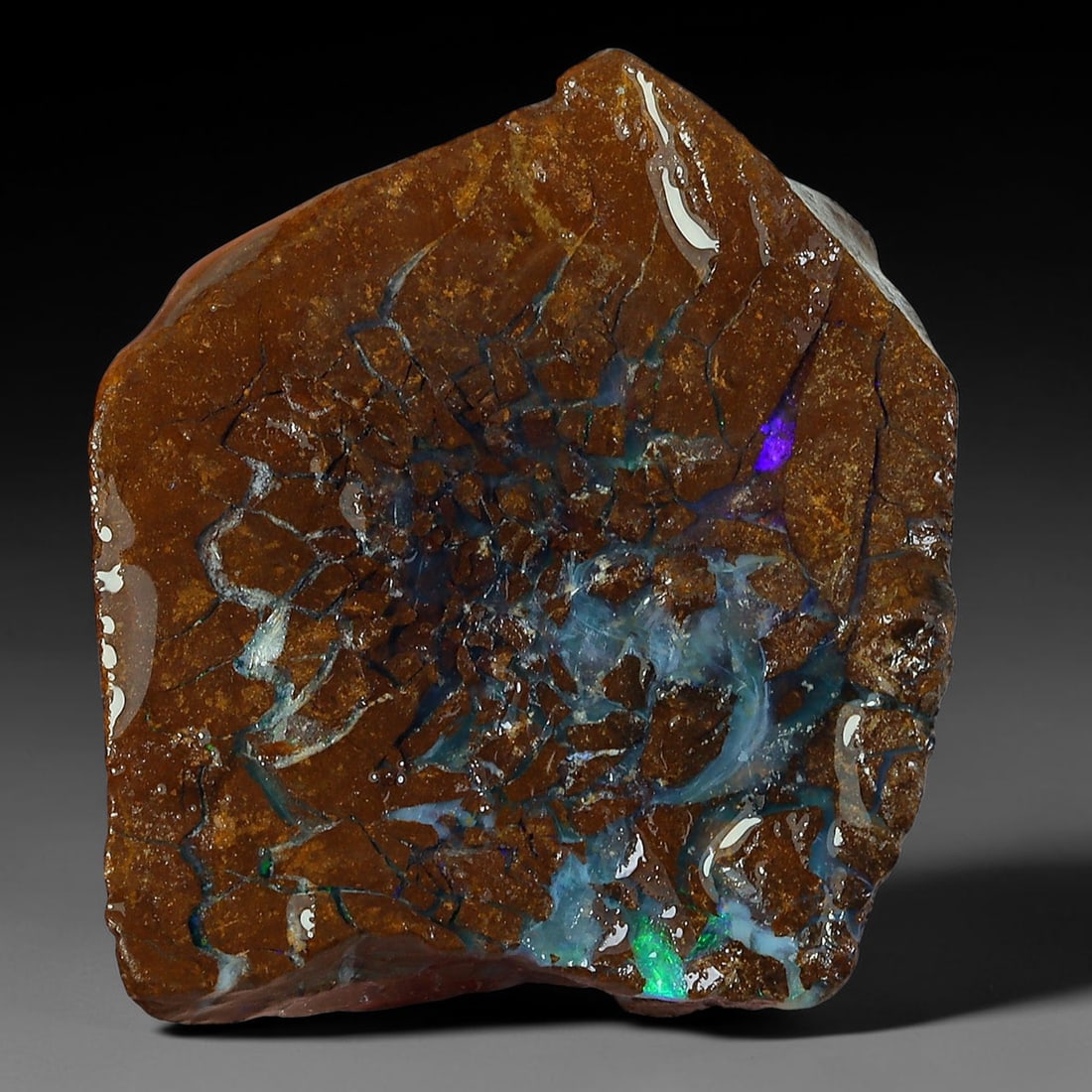30.86ct Natural Australian Queensland Boulder Opal Sliced Slab Cutting Rough, 22YP: Natural sliced slab rough of Queensland boulder opal cutting grade, featuring rich color ironstone matrix with patterns. The face clearly reveals extensive opal veining and pocket formations running t