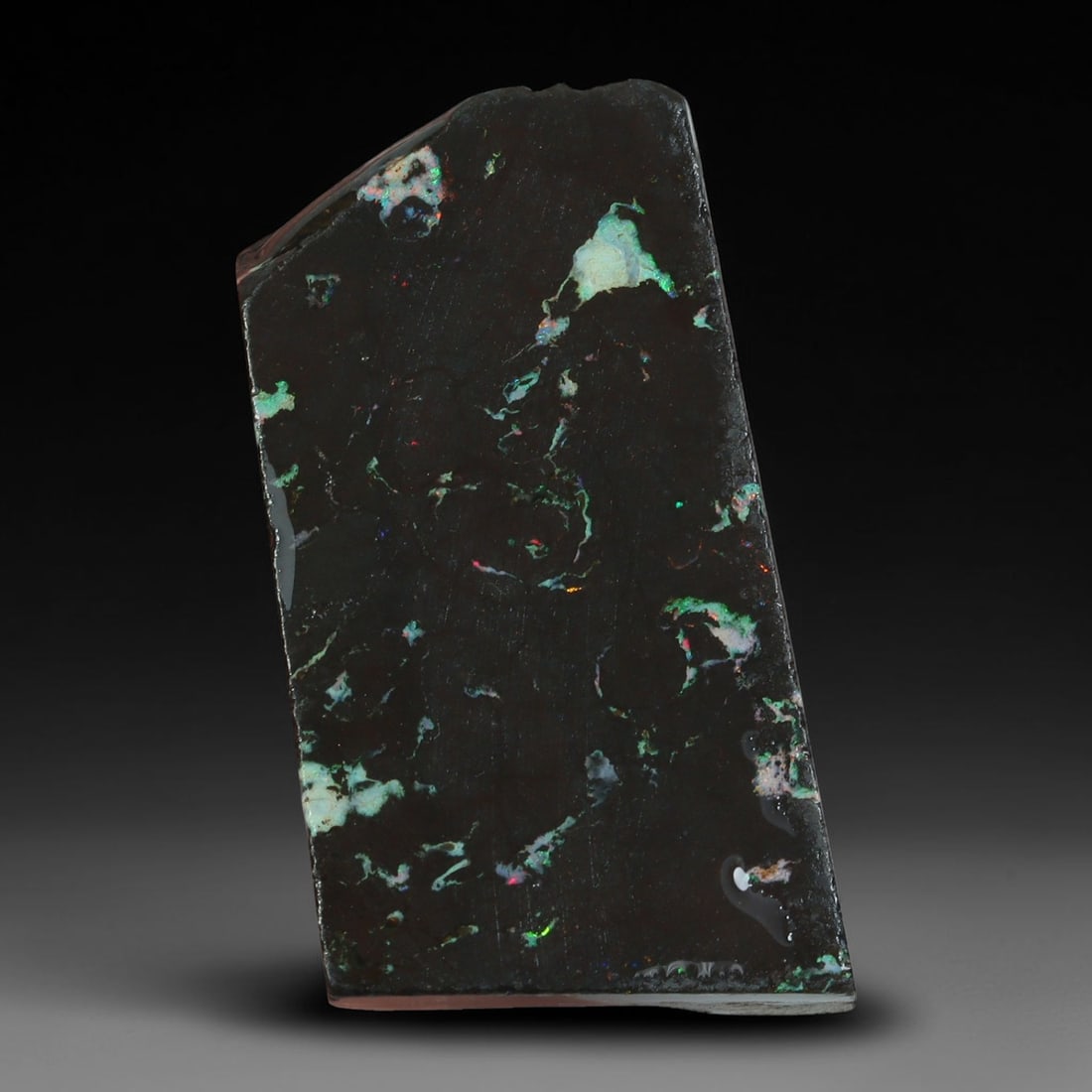 21.76ct Natural Australian Queensland Boulder Opal Sliced Slab Cutting Rough, 20YP: Natural sliced slab rough of Queensland boulder opal cutting grade, featuring rich color ironstone matrix with patterns. The face clearly reveals extensive opal veining and pocket formations running t