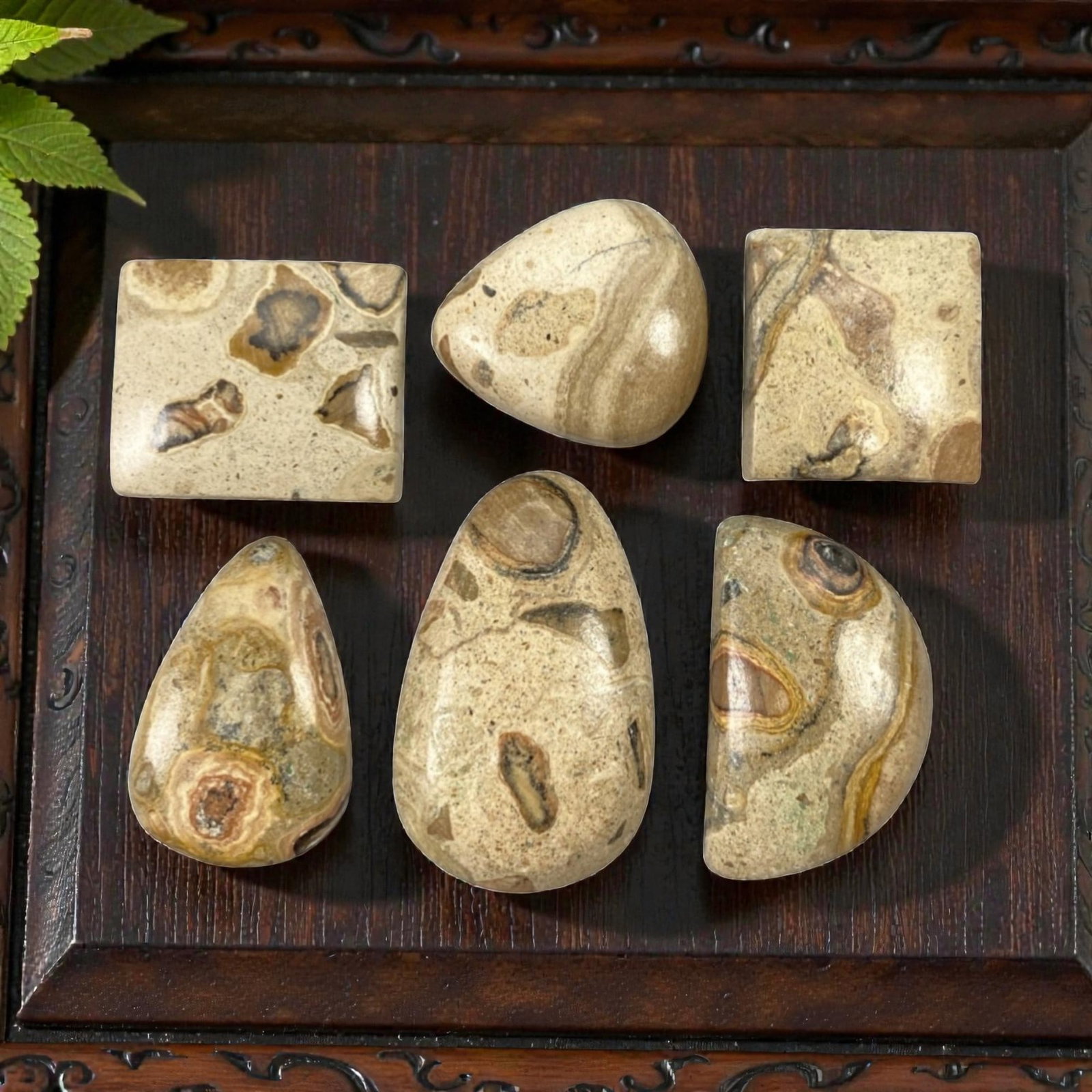 189.20 Carats Orbicular Jasper Cabochon Parcel - Natural Loose Gemstones, 98ZL: This curated parcel of six orbicular jasper cabochons, weighing a total of 189.20 carats with individual dimensions ranging from 2.2 to 2.4 cm, showcases the gemstone's iconic "eye-like" or "orbicular