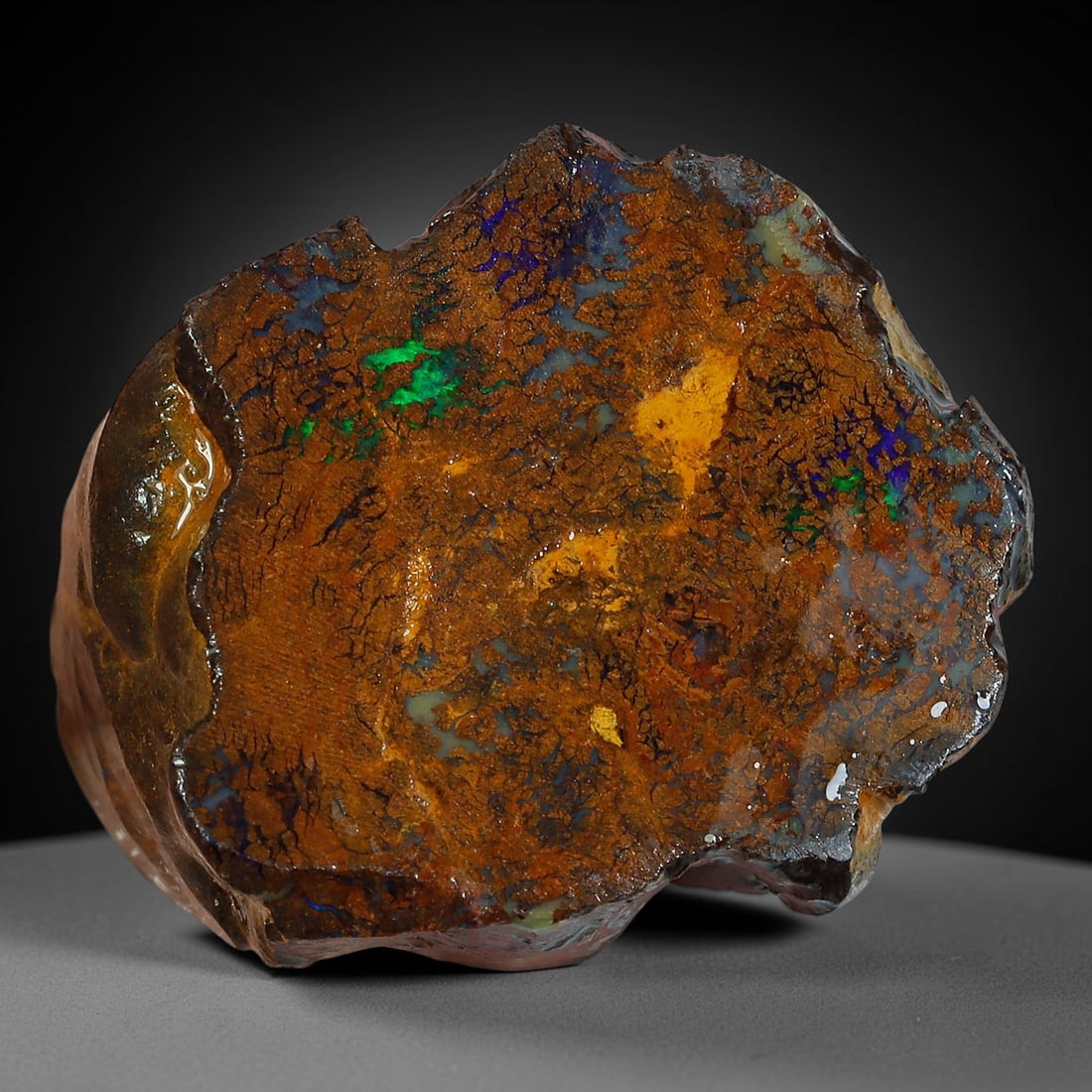 58.91ct Natural Australian Queensland Boulder Opal Sliced Slab Cutting Rough, 25YP: Natural sliced slab rough of Queensland boulder opal cutting grade, featuring rich color ironstone matrix with patterns. The face clearly reveals extensive opal veining and pocket formations running t