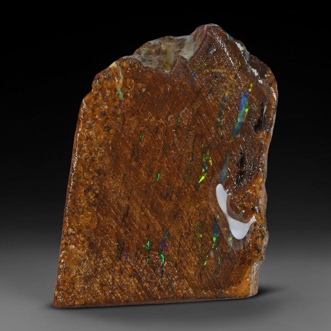 12.44ct Natural Australian Queensland Boulder Opal Sliced Slab Cutting Rough, 94YL: Natural sliced slab rough of Queensland boulder opal cutting grade, featuring rich color ironstone matrix with patterns. The face clearly reveals extensive opal veining and pocket formations running t
