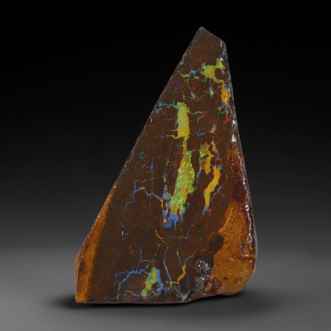 21.38ct Natural Australian Queensland Boulder Opal Sliced Slab Cutting Rough, 86YL: Natural sliced slab rough of Queensland boulder opal cutting grade, featuring rich color ironstone matrix with patterns. The face clearly reveals extensive opal veining and pocket formations running t