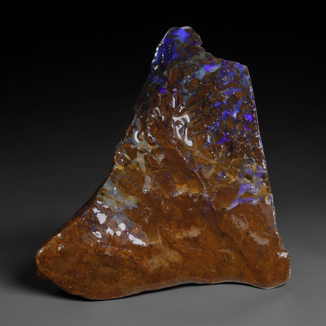 42.56ct Natural Australian Queensland Boulder Opal Sliced Slab Cutting Rough, 58YL: Natural sliced slab rough of Queensland boulder opal cutting grade, featuring rich color ironstone matrix with patterns. The face clearly reveals extensive opal veining and pocket formations running t