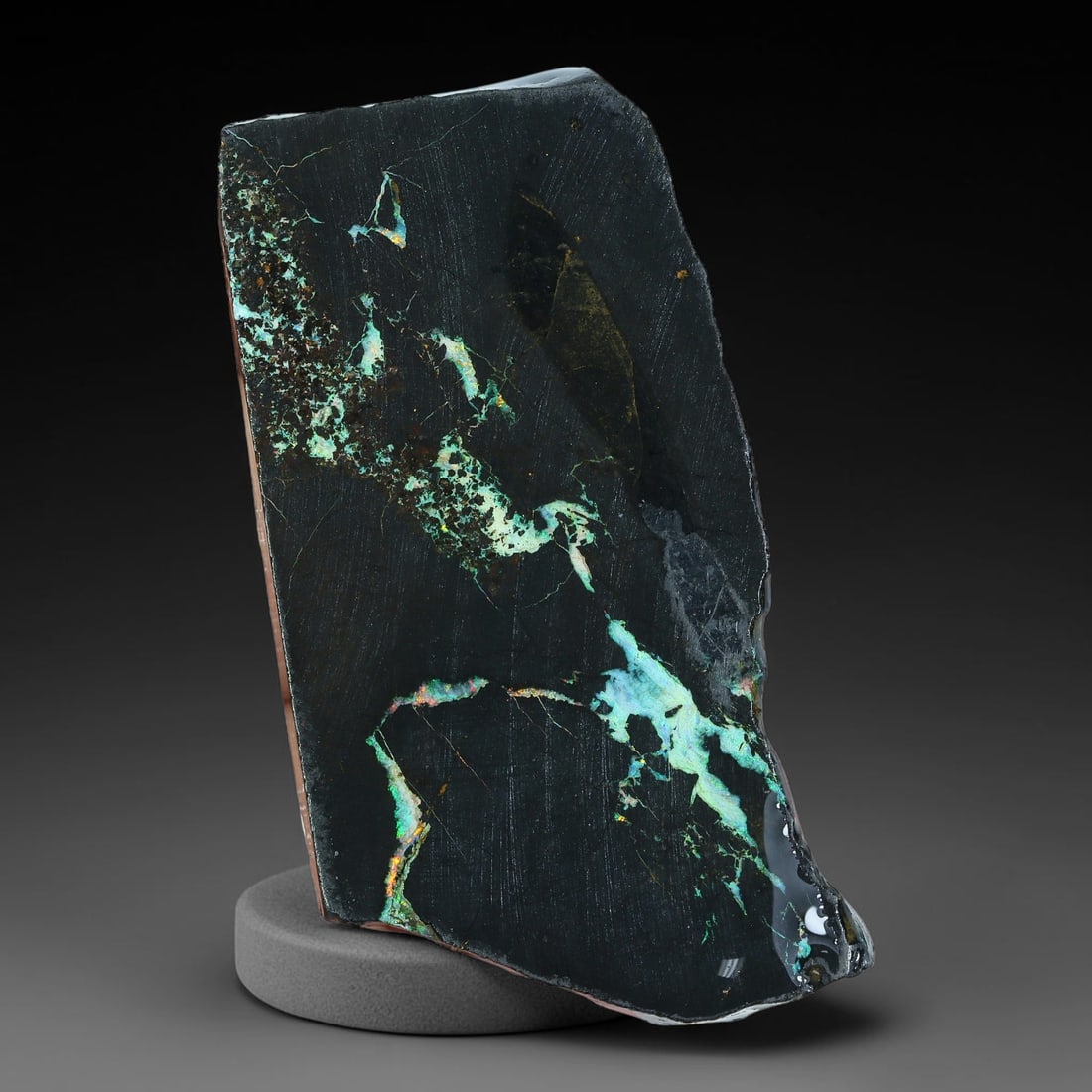 61.56ct Natural Australian Queensland Boulder Opal Sliced Slab Cutting Rough, 97YP: Natural sliced slab rough of Queensland boulder opal cutting grade, featuring rich color ironstone matrix with patterns. The face clearly reveals extensive opal veining and pocket formations running t