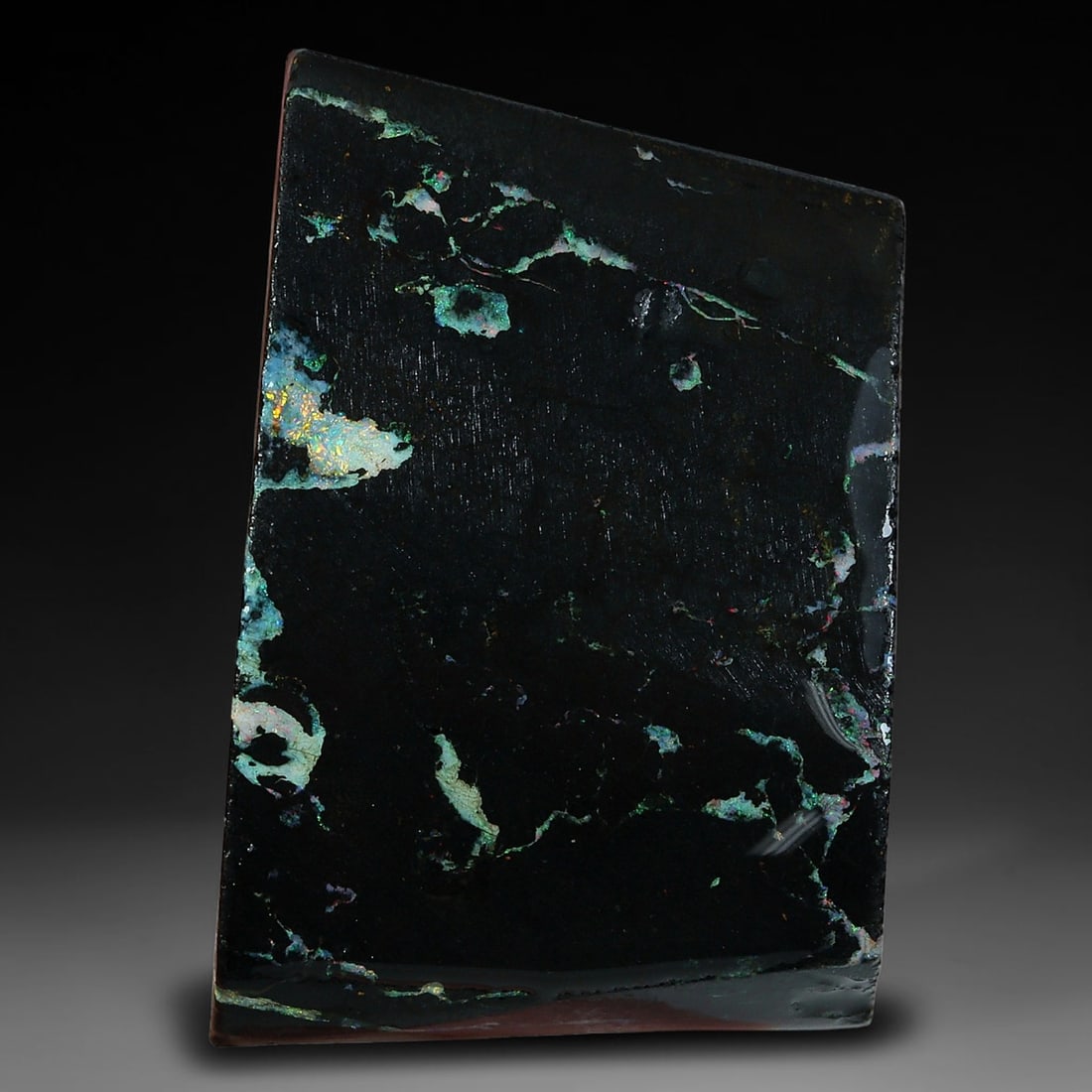 39.37ct Natural Australian Queensland Boulder Opal Sliced Slab Cutting Rough, 37YP: Natural sliced slab rough of Queensland boulder opal cutting grade, featuring rich color ironstone matrix with patterns. The face clearly reveals extensive opal veining and pocket formations running t
