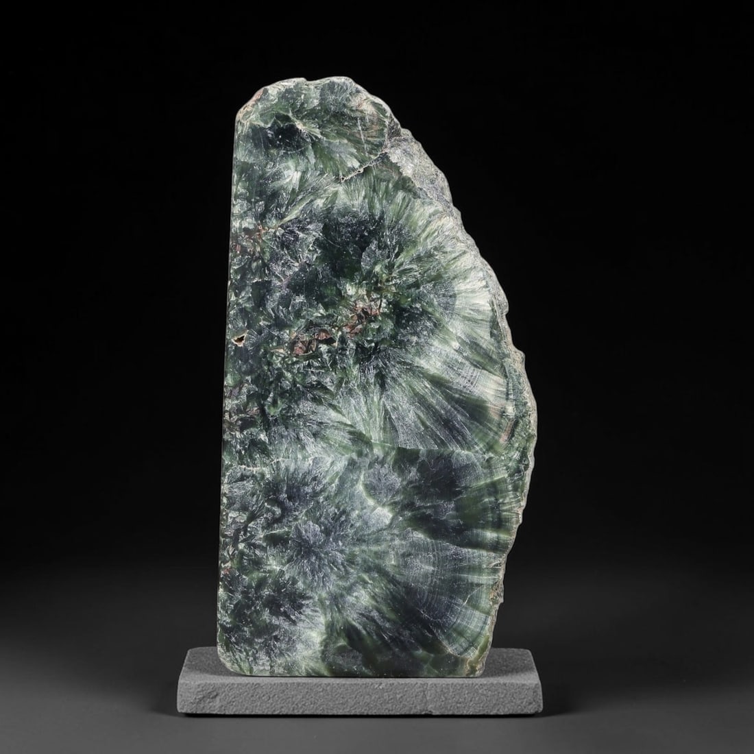 126ct Natural Siberian Seraphinite Polished Rough Slab, 39WV: This polished mineral slab is natural seraphinite originating from Siberian deposits, displaying characteristic radiating crystalline fibrous formations with layered deep forest and silvery green band