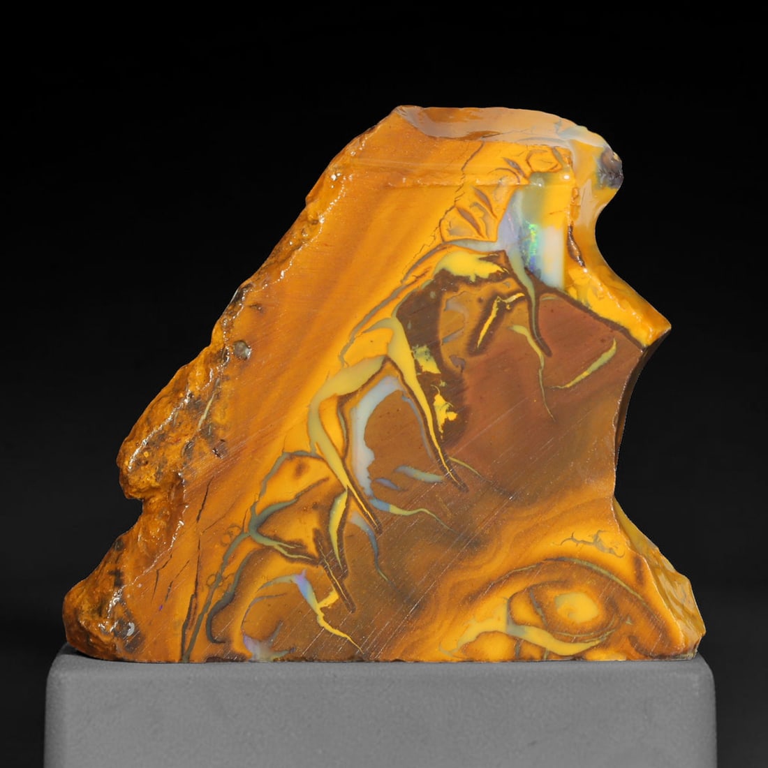 39.46ct Natural Australian Queensland Boulder Opal Sliced Slab Cutting Rough, 17YL: Natural sliced slab rough of Queensland boulder opal cutting grade, featuring rich color ironstone matrix with patterns. The face clearly reveals extensive opal veining and pocket formations running t