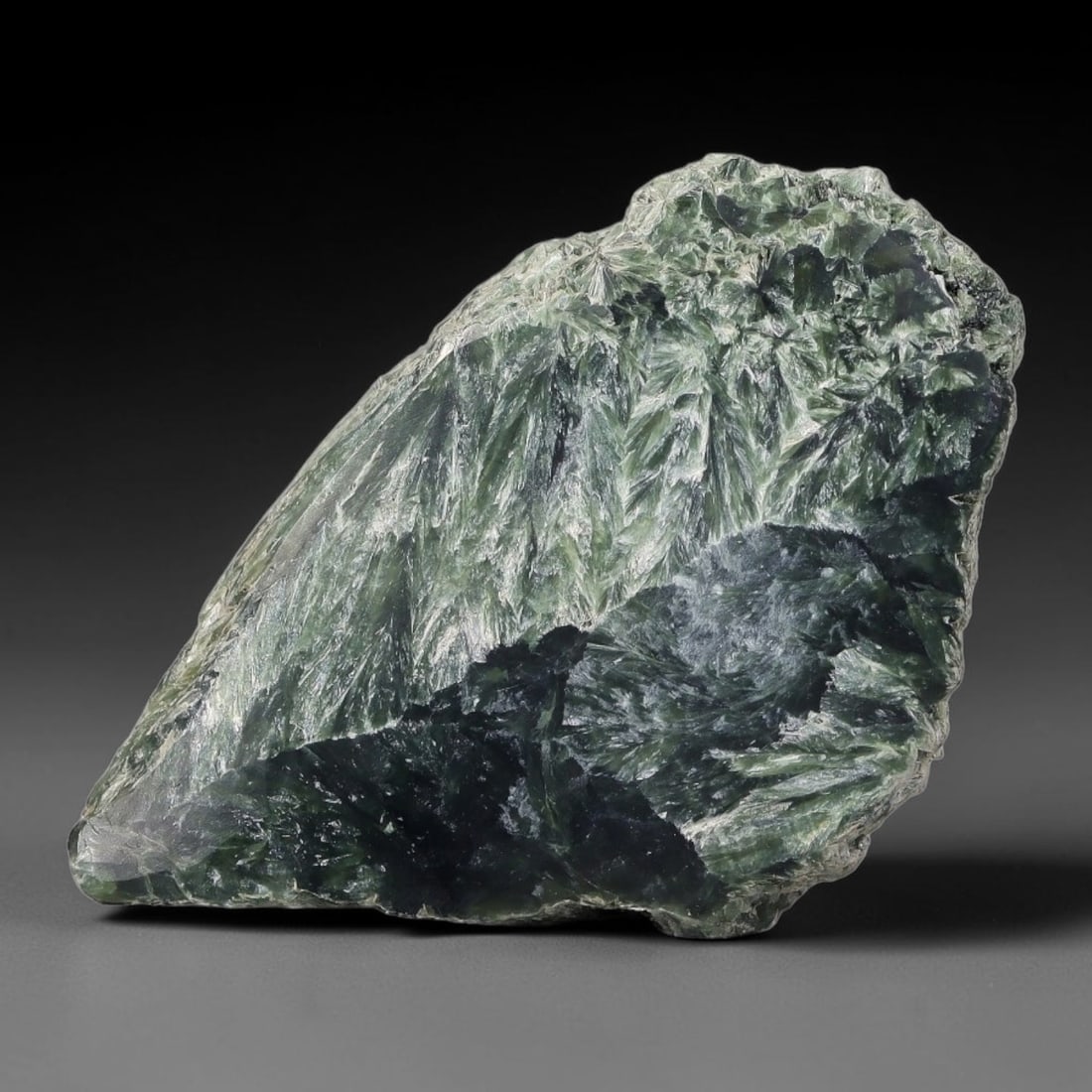 54ct Natural Siberian Seraphinite Polished Rough Slab, 8WV: This polished mineral slab is natural seraphinite originating from Siberian deposits, displaying characteristic radiating crystalline fibrous formations with layered deep forest and silvery green band