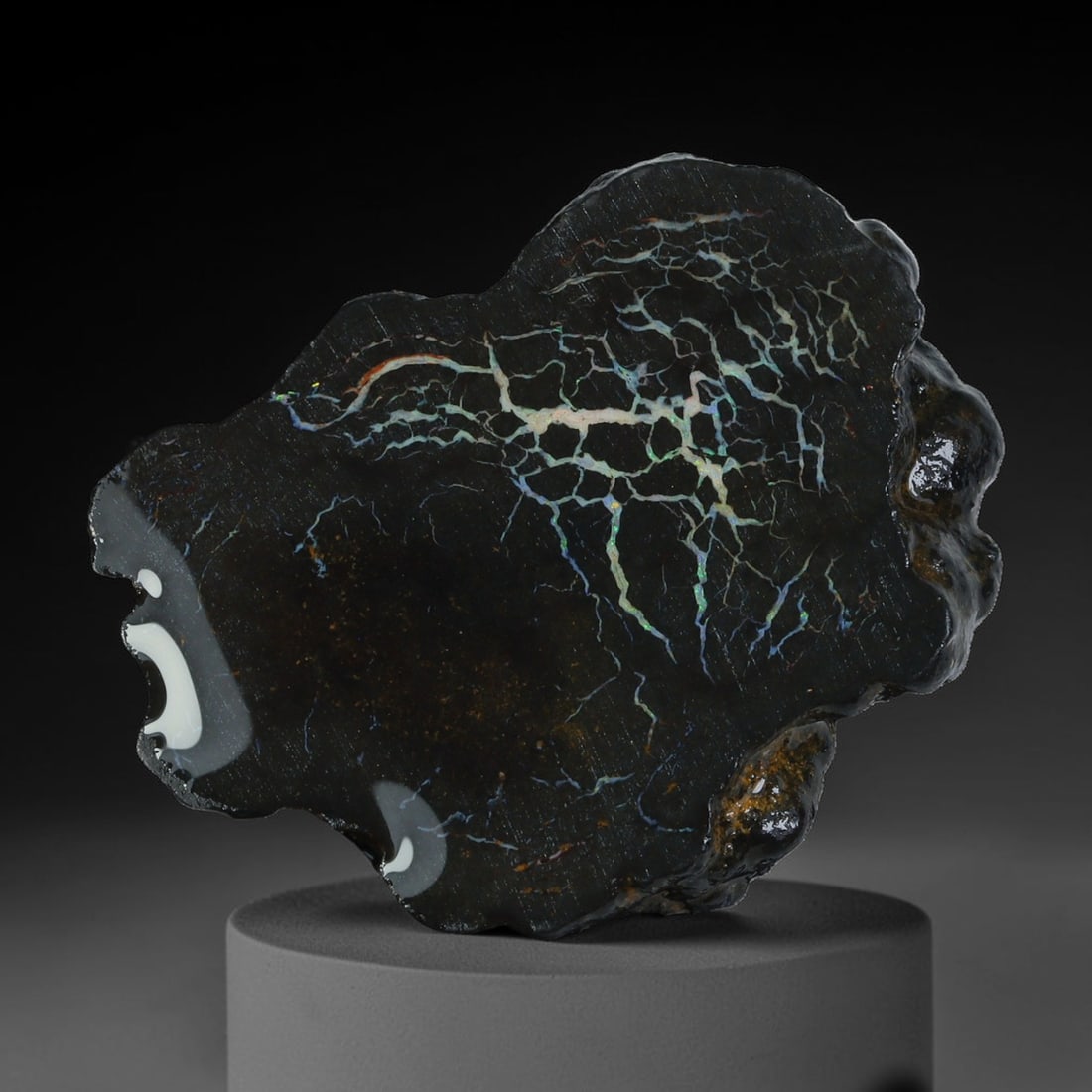 27.96ct Natural Australian Queensland Boulder Opal Sliced Slab Cutting Rough, 61YL: Natural sliced slab rough of Queensland boulder opal cutting grade, featuring rich color ironstone matrix with patterns. The face clearly reveals extensive opal veining and pocket formations running t