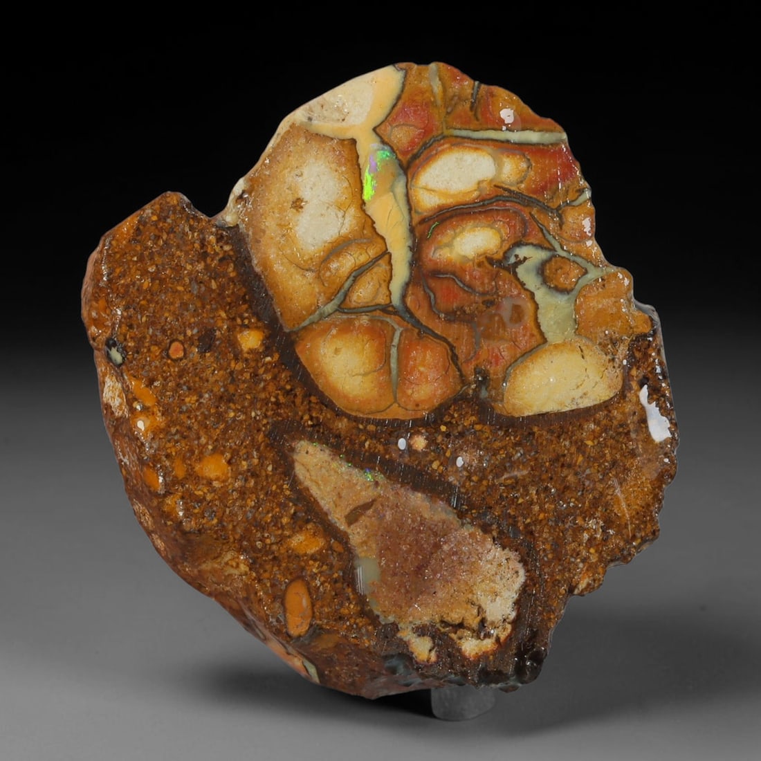 22.97ct Natural Australian Queensland Boulder Opal Sliced Slab Cutting Rough, 85YL: Natural sliced slab rough of Queensland boulder opal cutting grade, featuring rich color ironstone matrix with patterns. The face clearly reveals extensive opal veining and pocket formations running t
