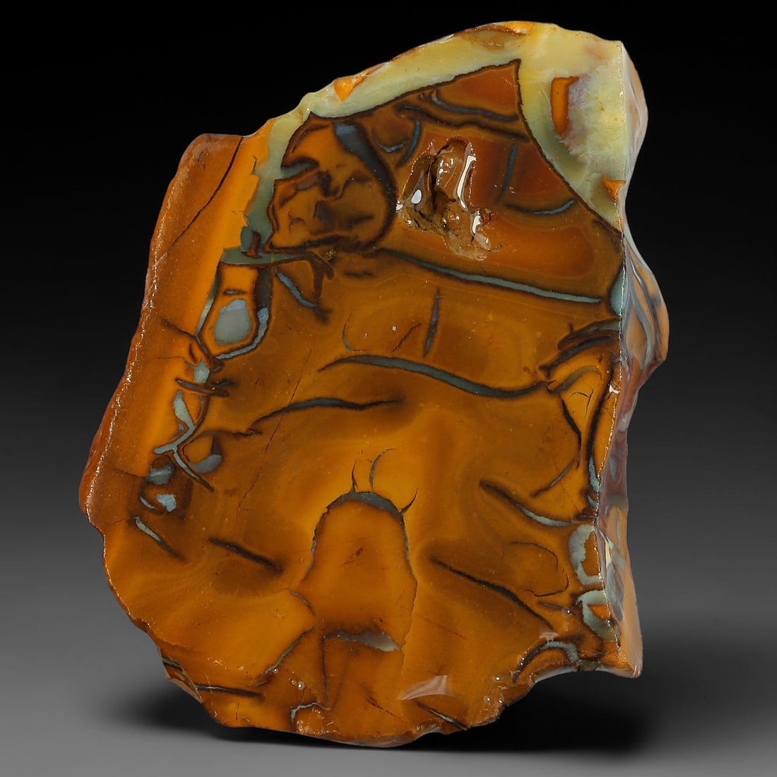 73.04ct Natural Australian Queensland Boulder Opal Sliced Slab Cutting Rough, 39YP: Natural sliced slab rough of Queensland boulder opal cutting grade, featuring rich color ironstone matrix with patterns. The face clearly reveals extensive opal veining and pocket formations running t