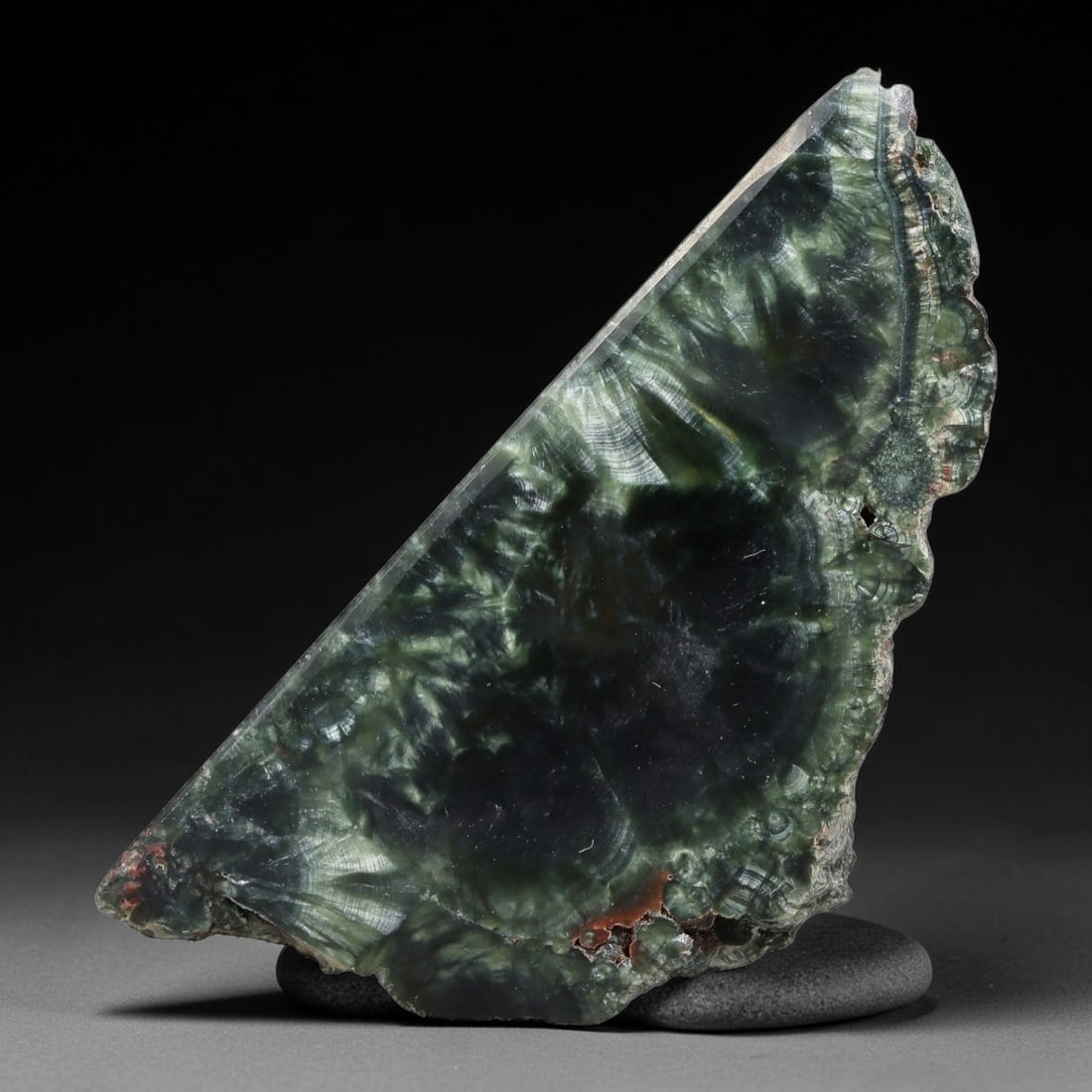 109ct Natural Siberian Seraphinite Polished Rough Slab, 1WV: This polished mineral slab is natural seraphinite originating from Siberian deposits, displaying characteristic radiating crystalline fibrous formations with layered deep forest and silvery green band