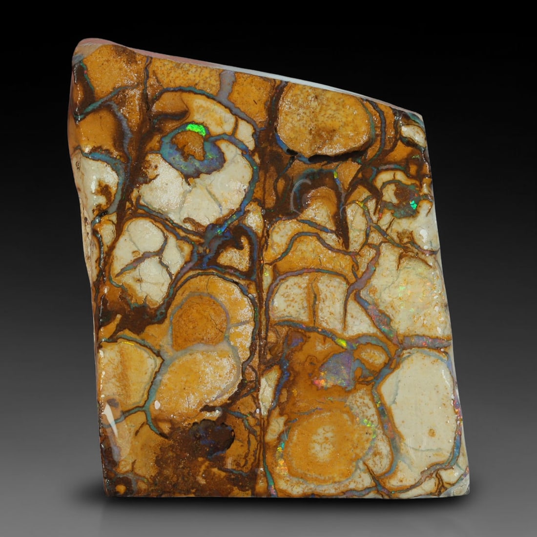 47.57ct Natural Australian Queensland Boulder Opal Sliced Slab Cutting Rough, 70YP: Natural sliced slab rough of Queensland boulder opal cutting grade, featuring rich color ironstone matrix with patterns. The face clearly reveals extensive opal veining and pocket formations running t