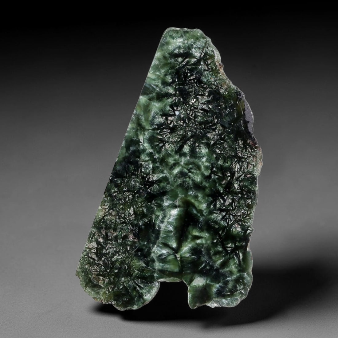 33ct Natural Siberian Seraphinite Polished Rough Slab, 85YK: This polished mineral slab is natural seraphinite originating from Siberian deposits, displaying characteristic radiating crystalline fibrous formations with layered deep forest and silvery green band