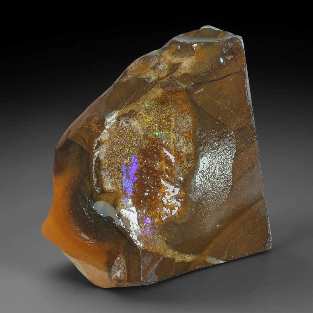 53.68ct Natural Australian Queensland Boulder Opal Sliced Slab Cutting Rough, 82YL: Natural sliced slab rough of Queensland boulder opal cutting grade, featuring rich color ironstone matrix with patterns. The face clearly reveals extensive opal veining and pocket formations running t