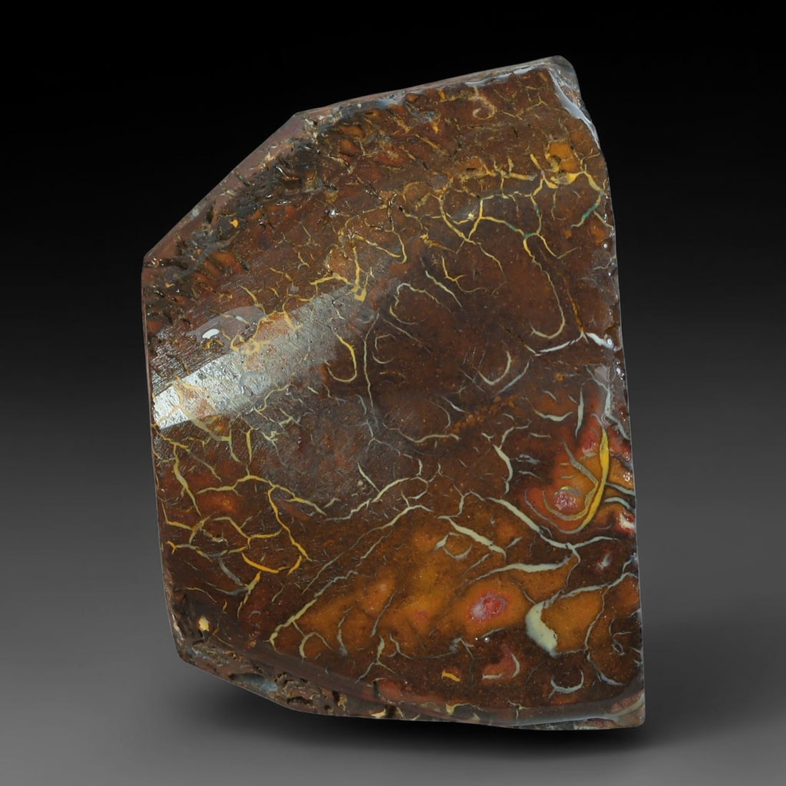 53.05ct Natural Australian Queensland Boulder Opal Sliced Slab Cutting Rough, 1YP: Natural sliced slab rough of Queensland boulder opal cutting grade, featuring rich color ironstone matrix with patterns. The face clearly reveals extensive opal veining and pocket formations running t